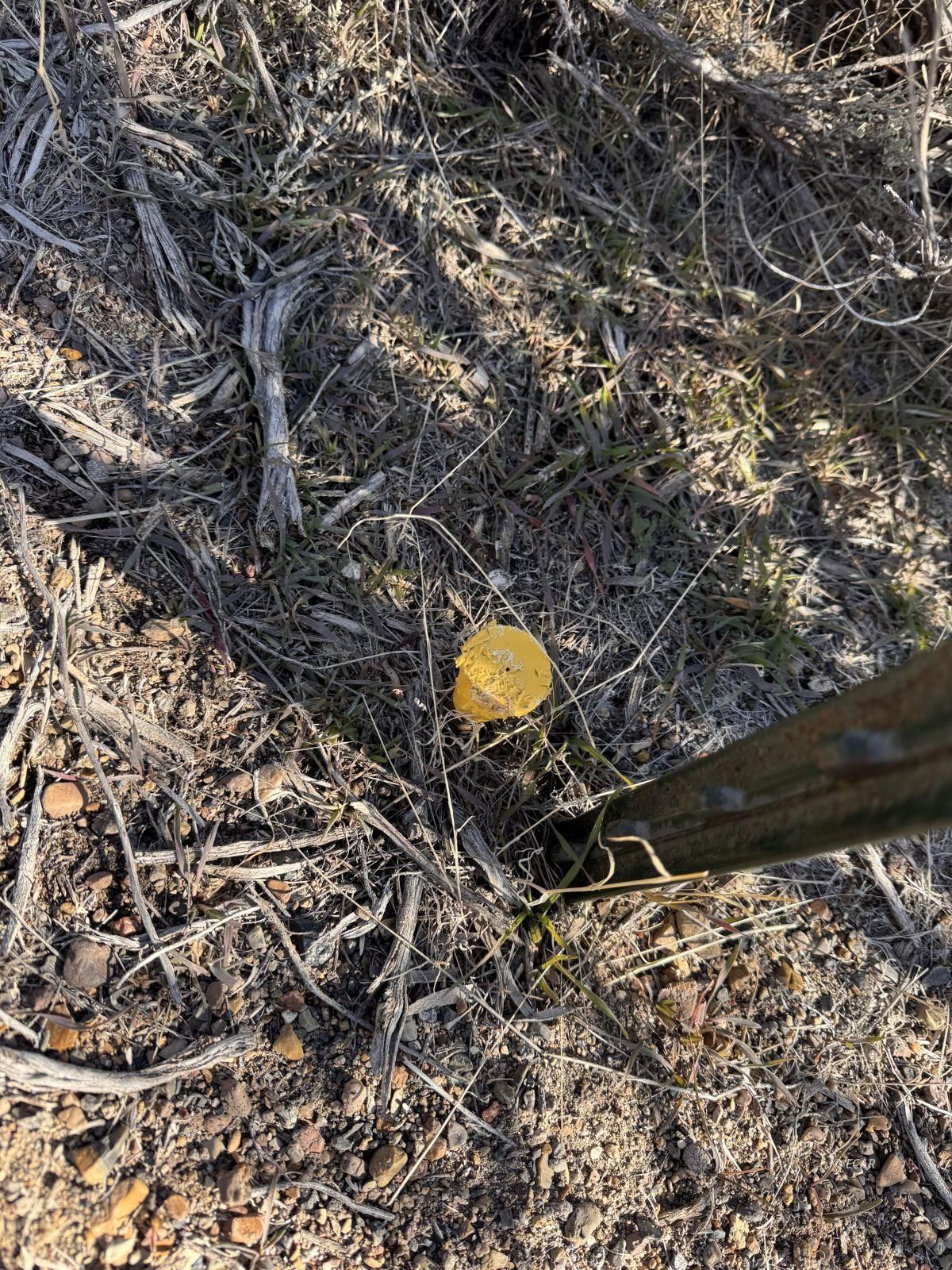 Sec 33 Twp 37n Property Photo 2