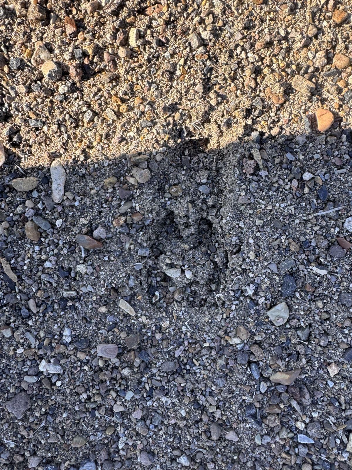 Sec 33 Twp 37n Property Photo 22