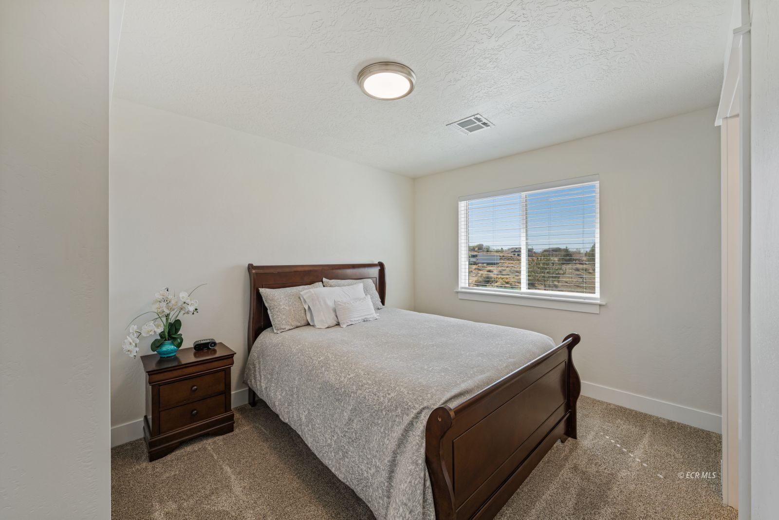 5286 Halter Way 18 Property Photo 26