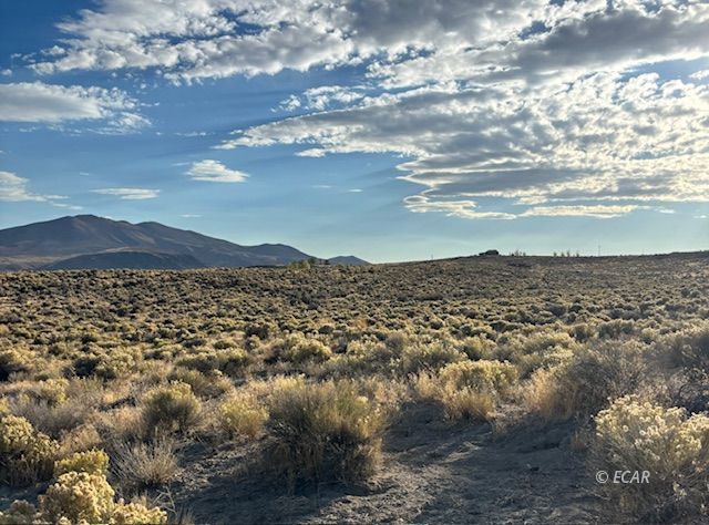 Tbd Johnson Avenue Property Photo 1