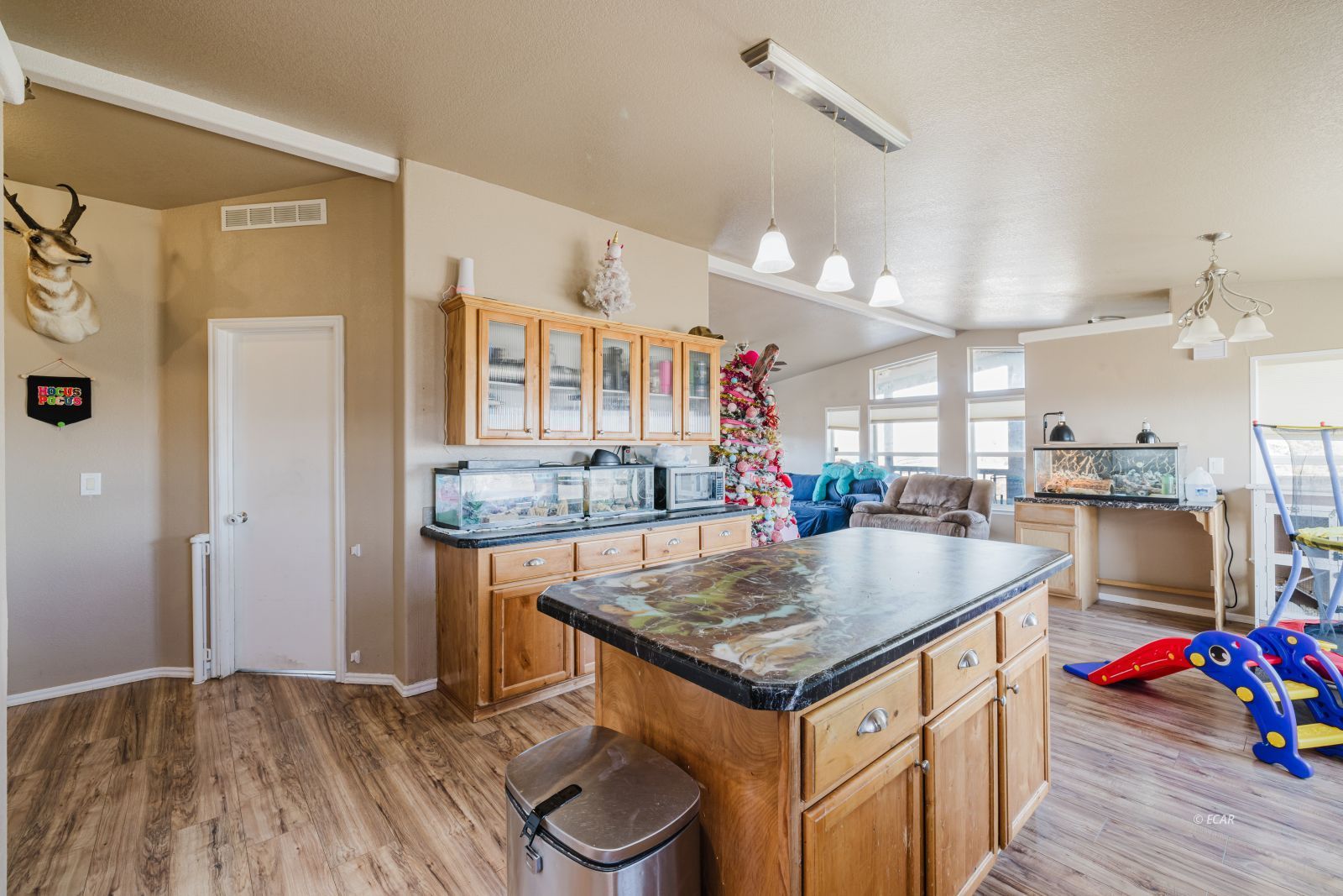 476 Jasper Drive Property Photo 17