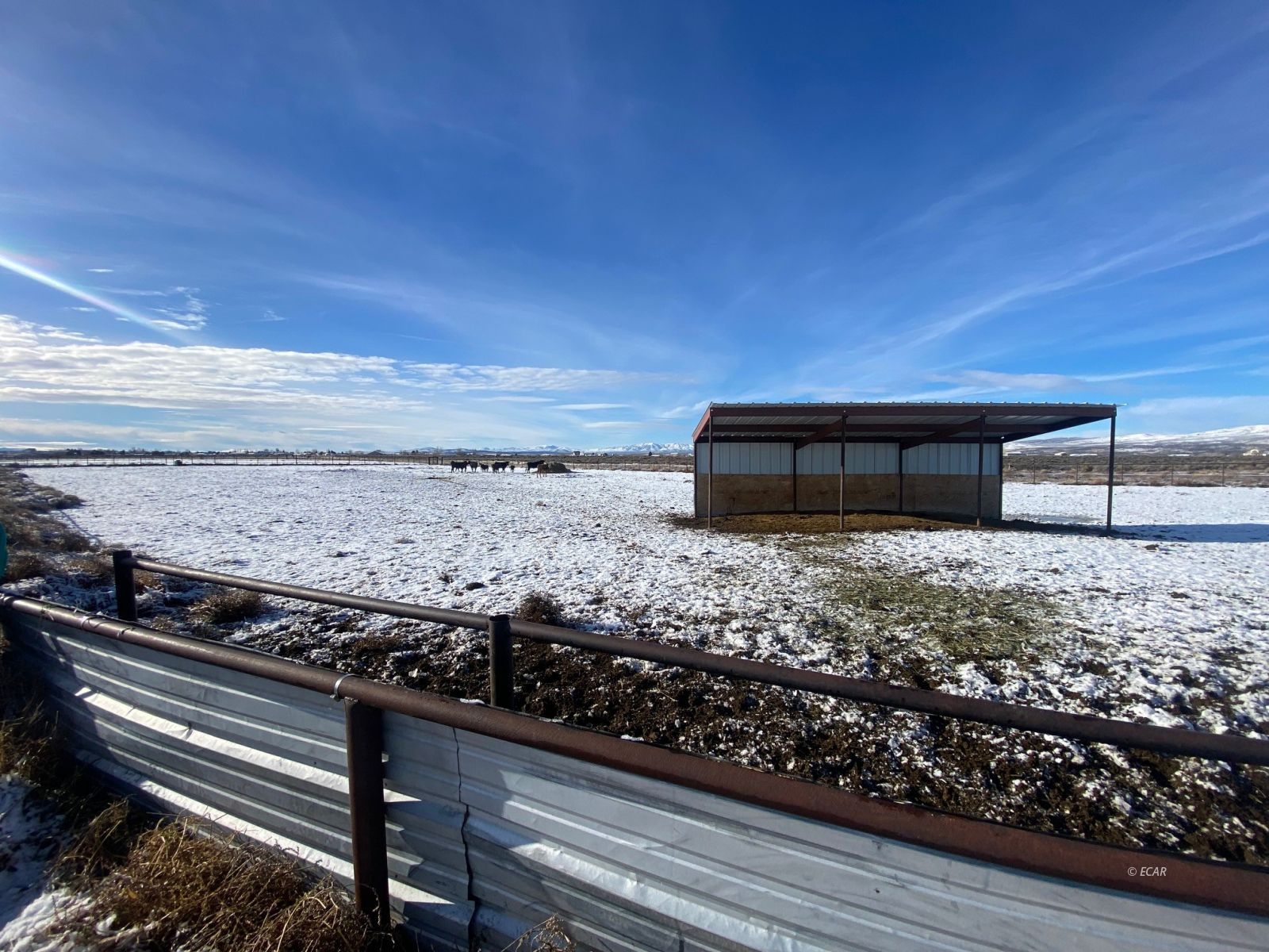 501 Gary's Way Property Photo 46