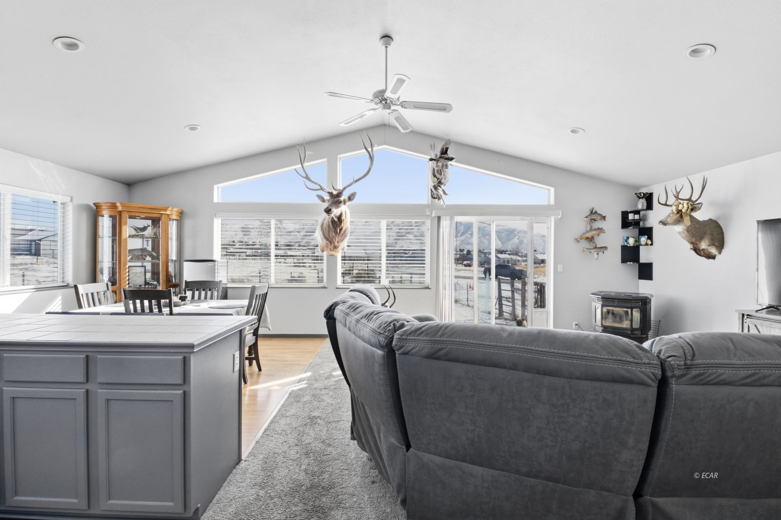 310 Oakmont Drive Property Photo 4