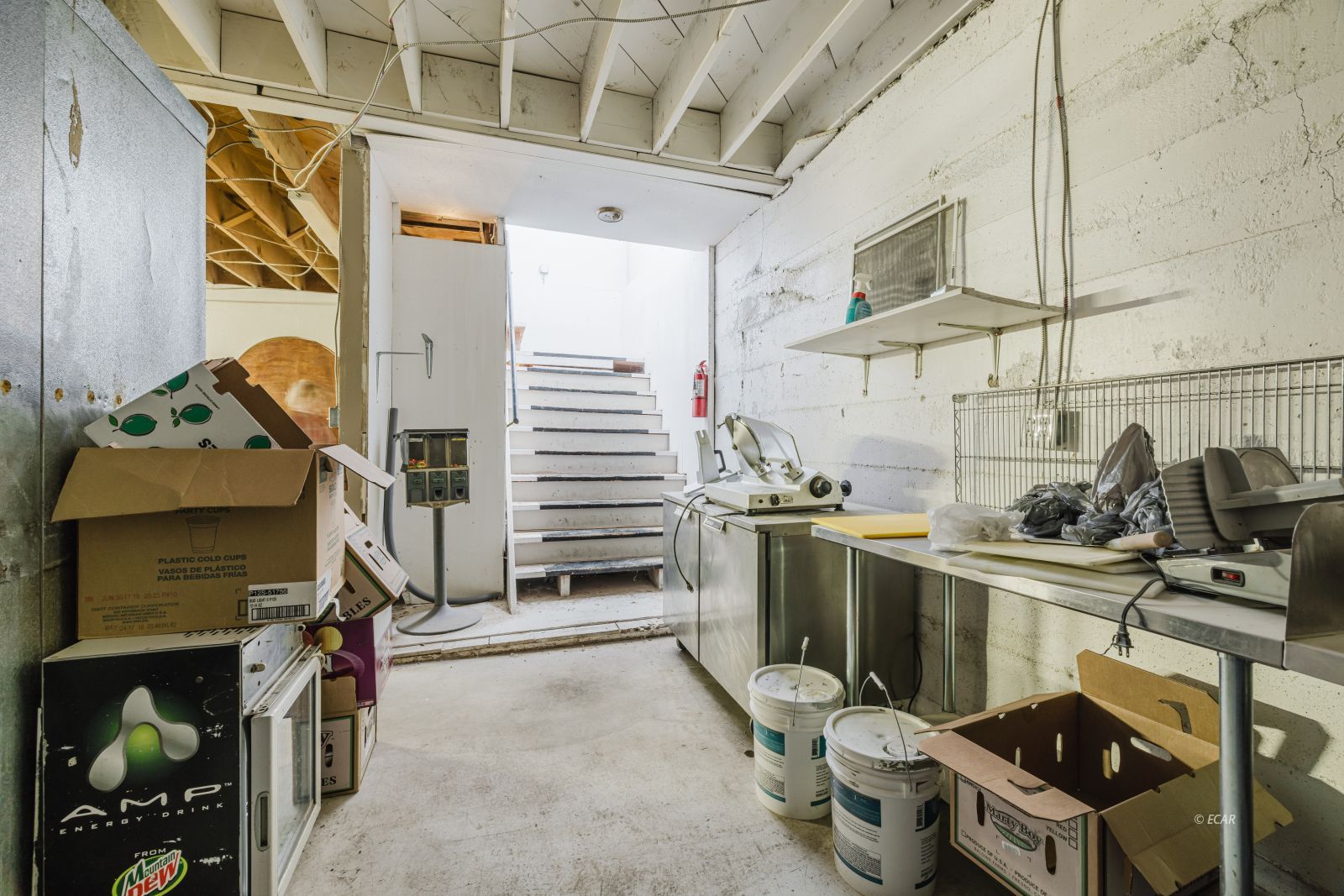 915 Chestnut Street Property Photo 29