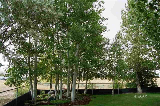 1000 Third Street Property Photo 22