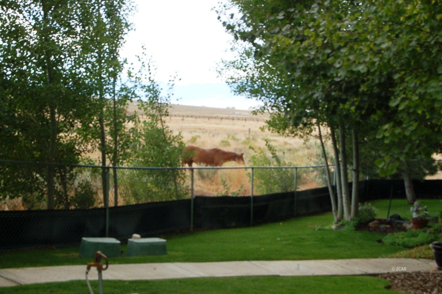 1000 Third Street Property Photo 23