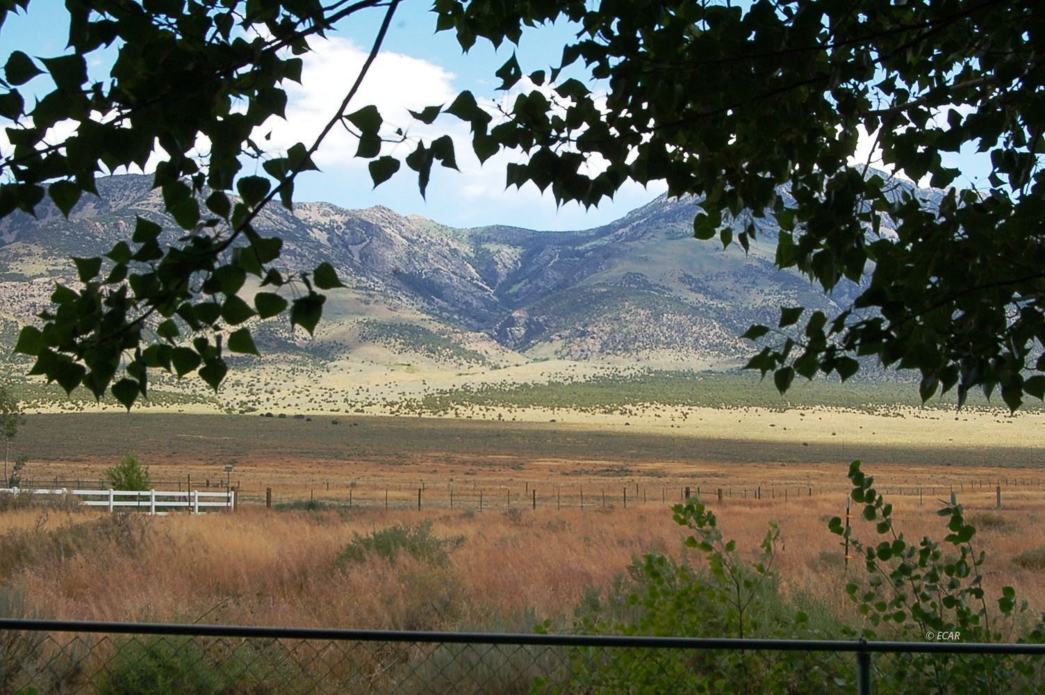 1000 Third Street Property Photo 25