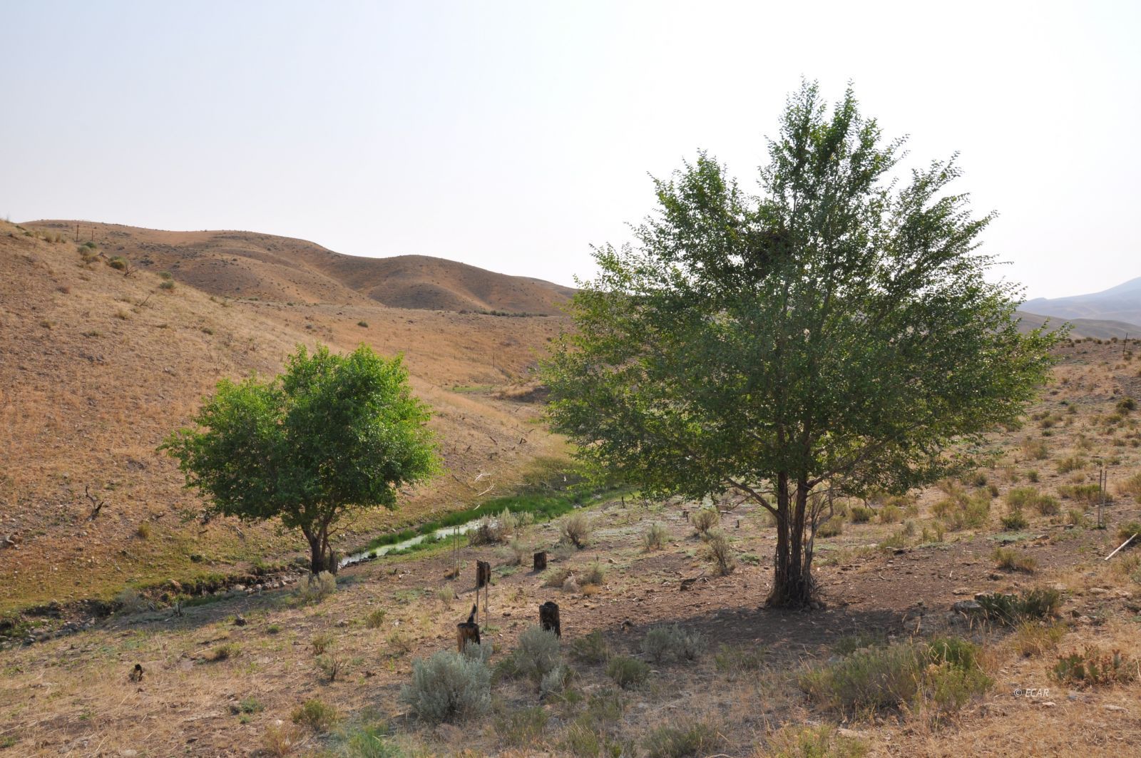 006-10a-001 Parcel Property Photo 2