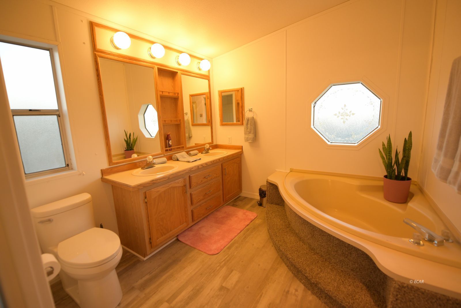 8231 Cayuse Drive Property Photo 8