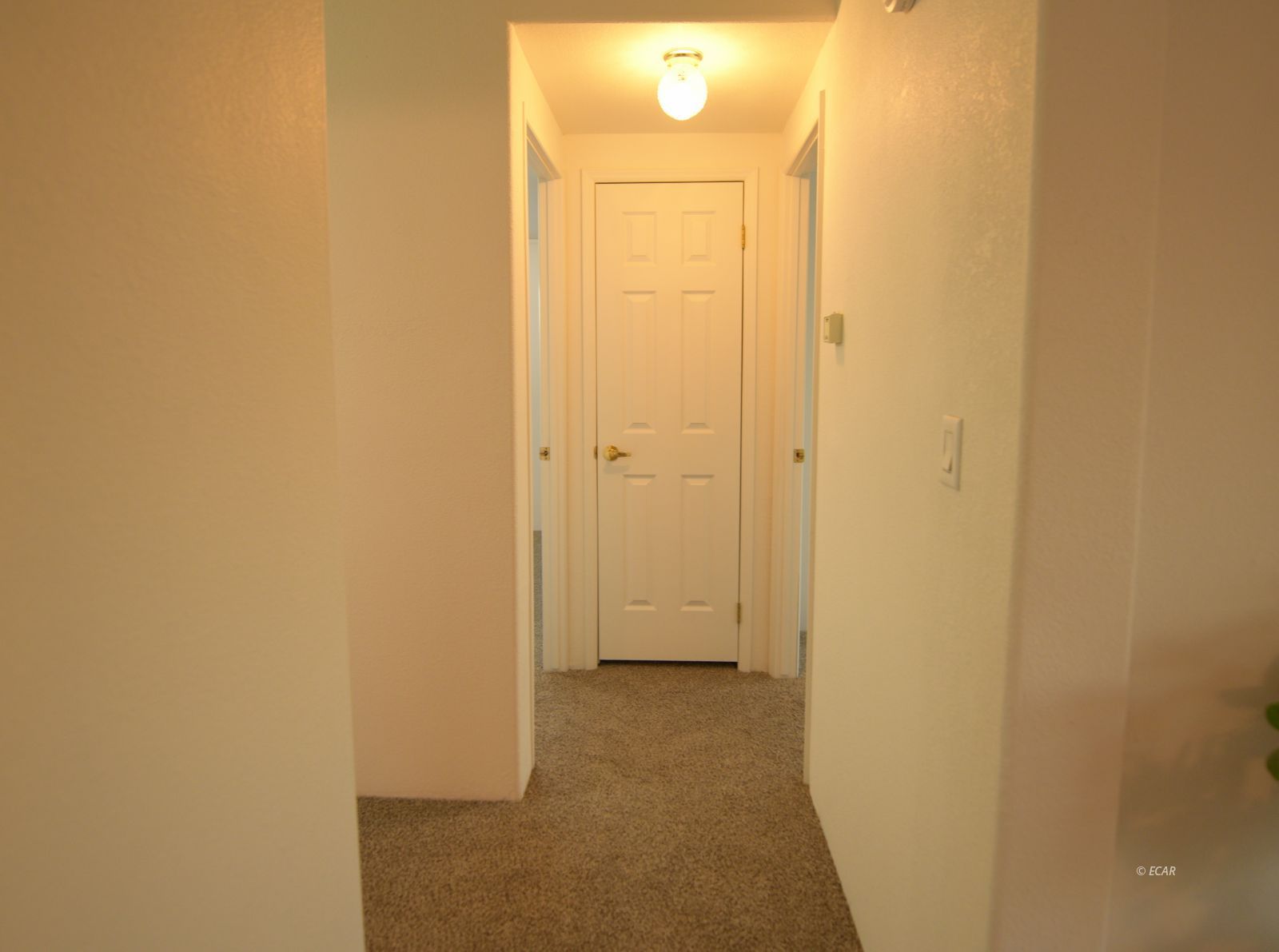 8231 Cayuse Drive Property Photo 15