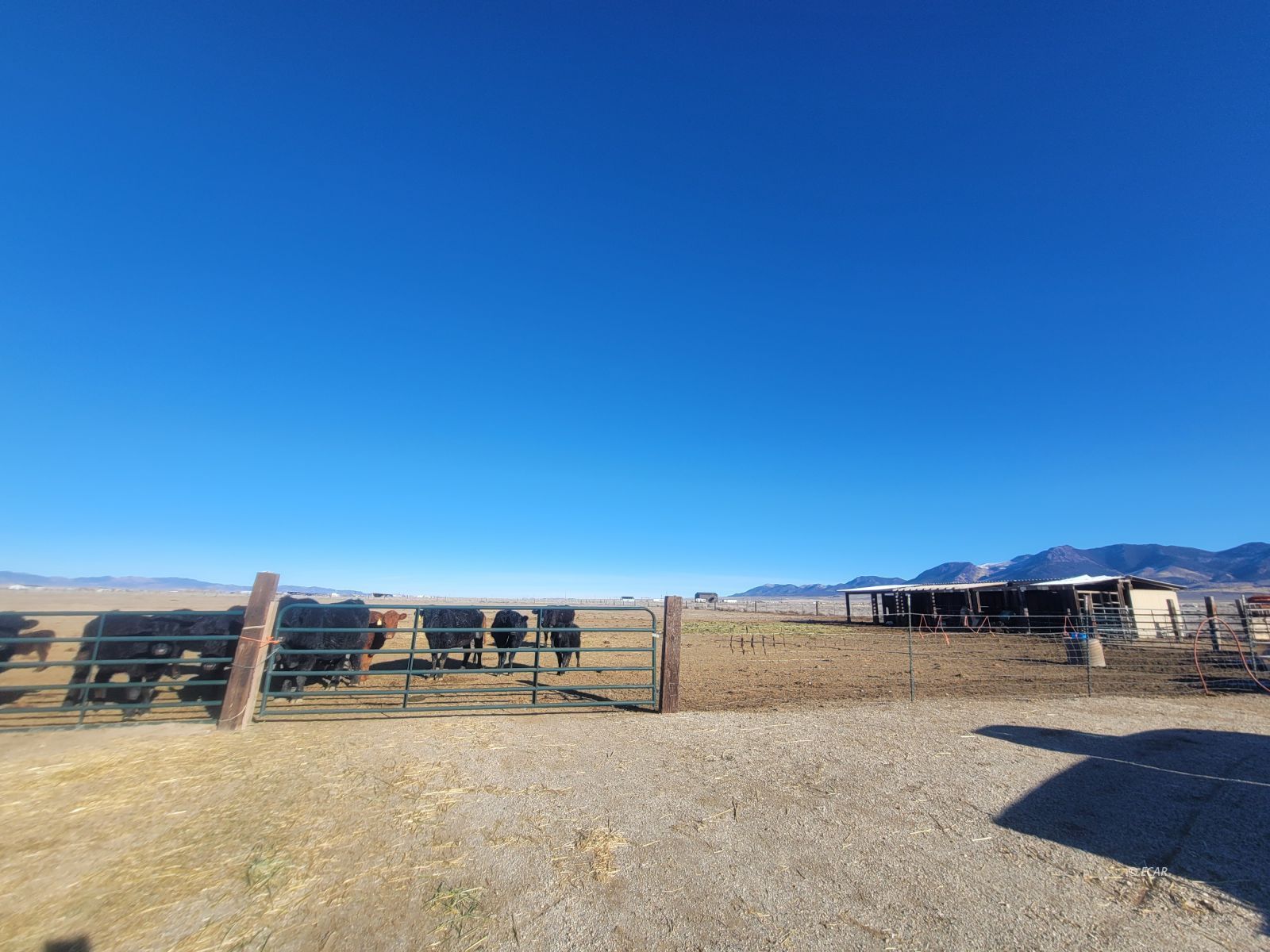 376 G Street Property Photo 8