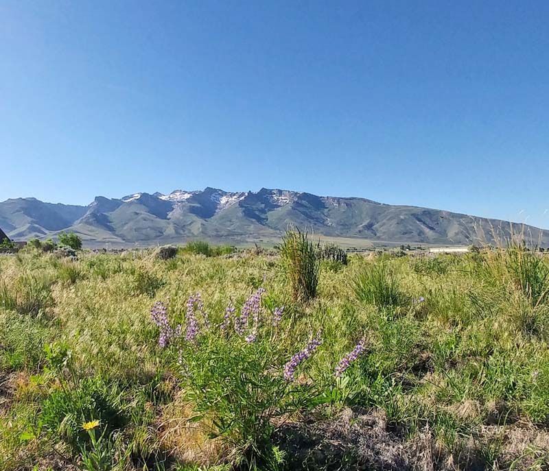 787 Clover Drive Property Photo 9