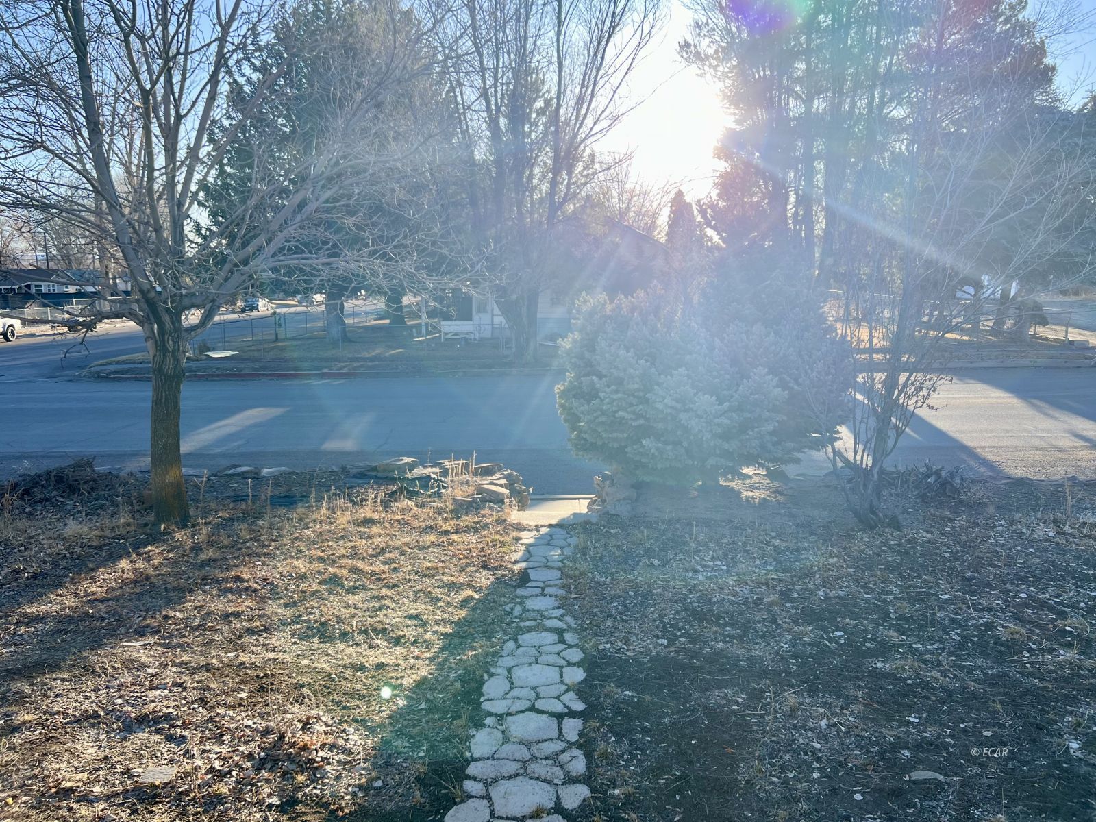 1006 Cedar Street Property Photo 5