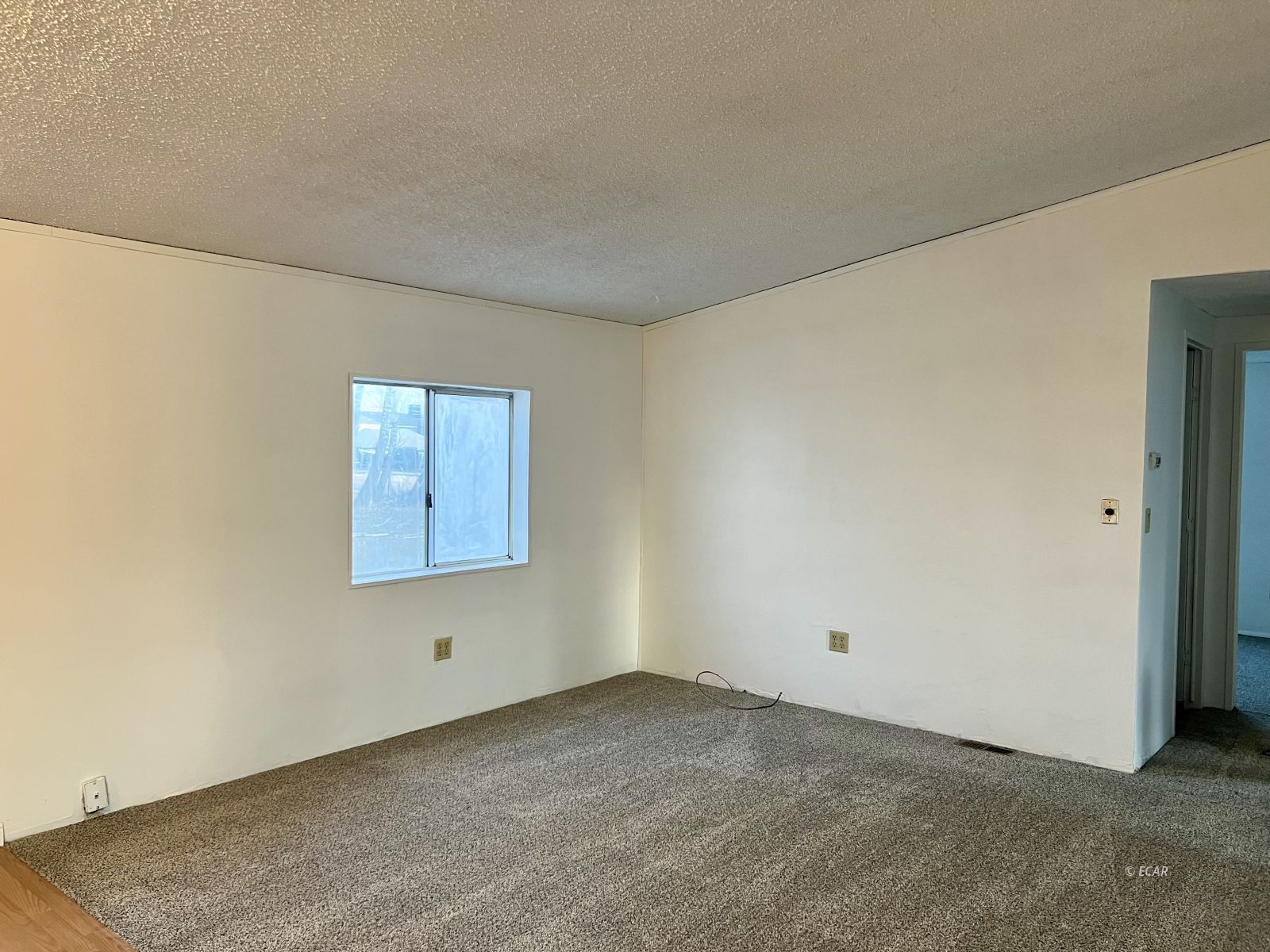 1006 Cedar Street Property Photo 21