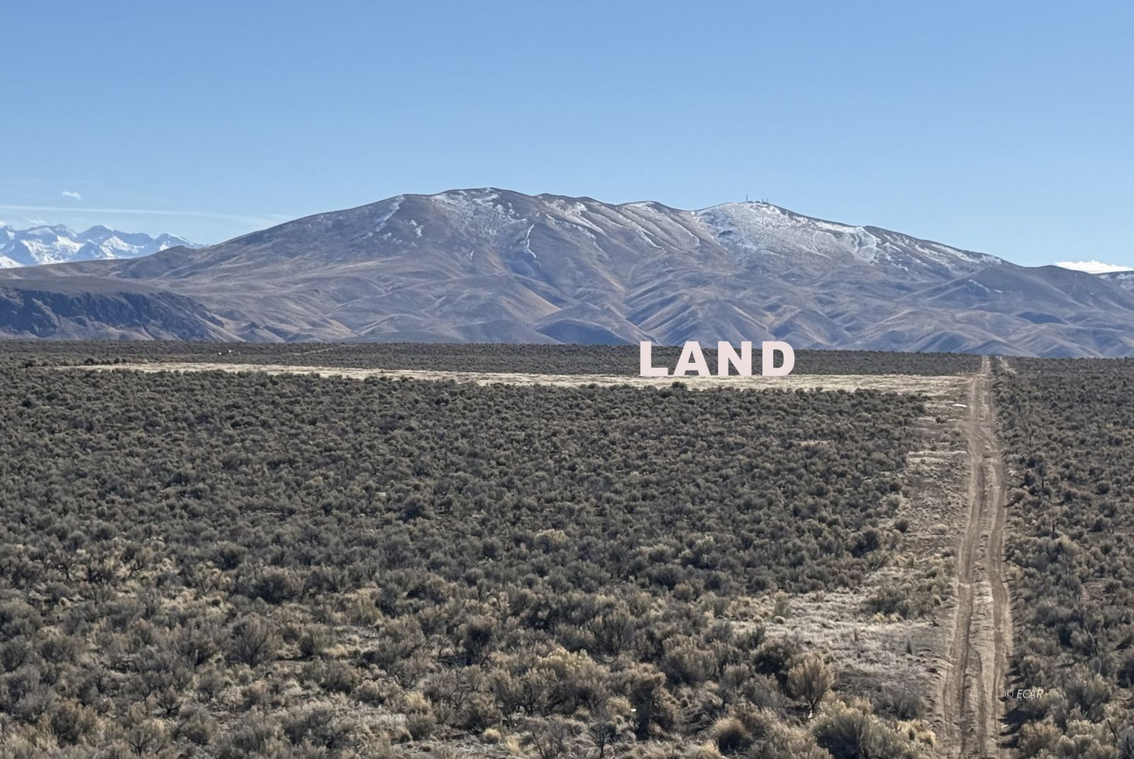 Kennedy Property Photo 1