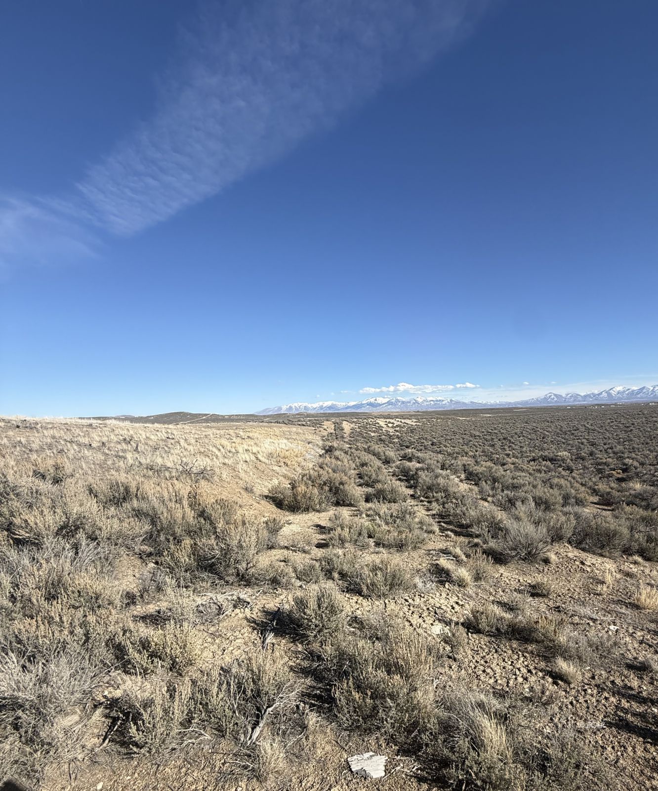 Kennedy Property Photo 3