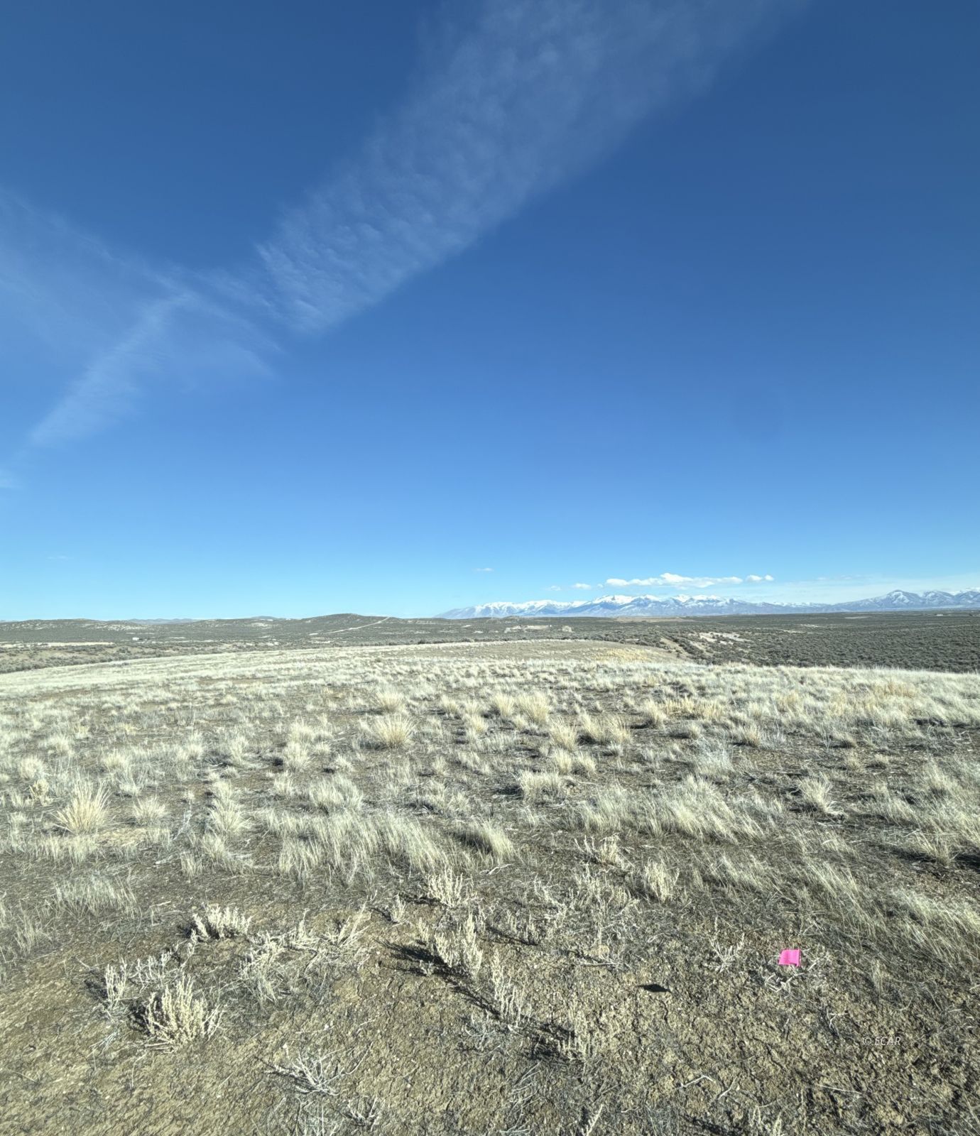 Kennedy Property Photo 5