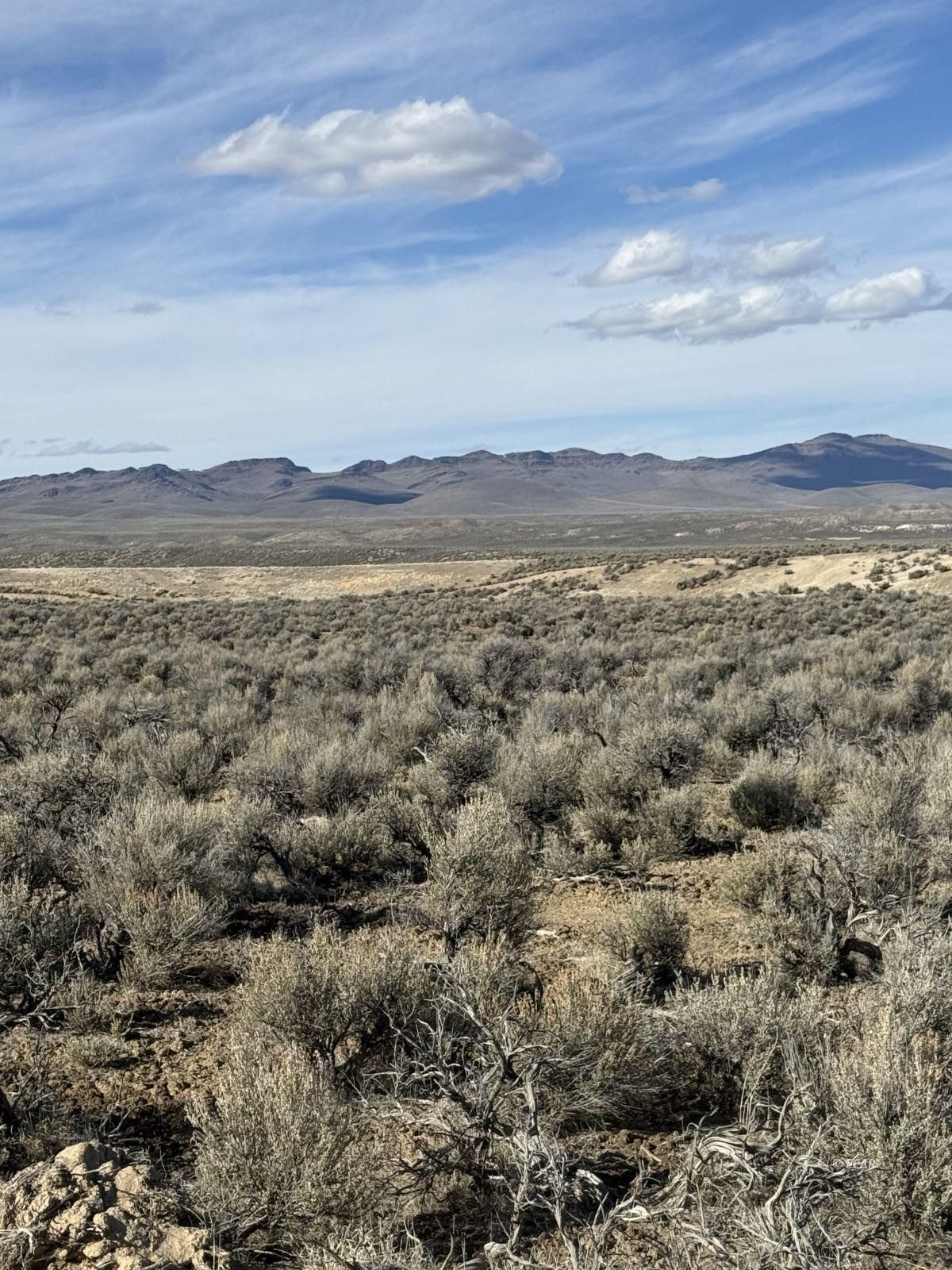 Kennedy Property Photo 6