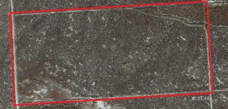 Kennedy Property Photo 7