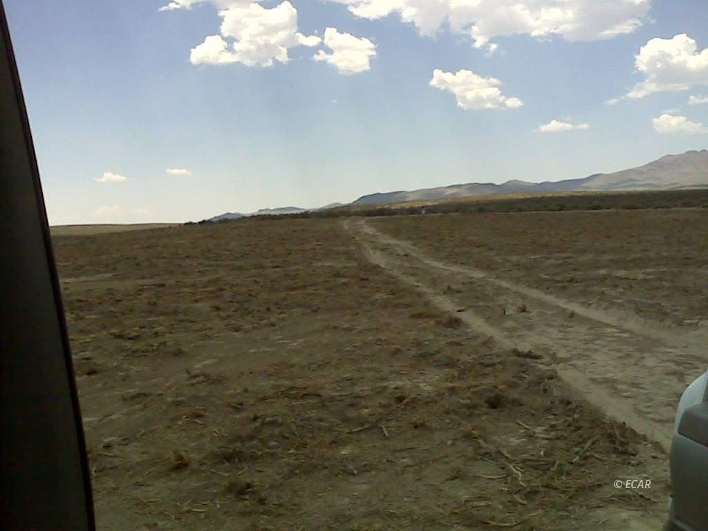 Kennedy Property Photo 8