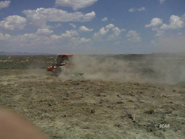 Kennedy Property Photo 9