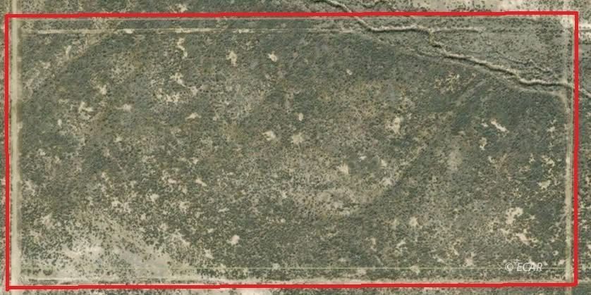 Kennedy Property Photo 10