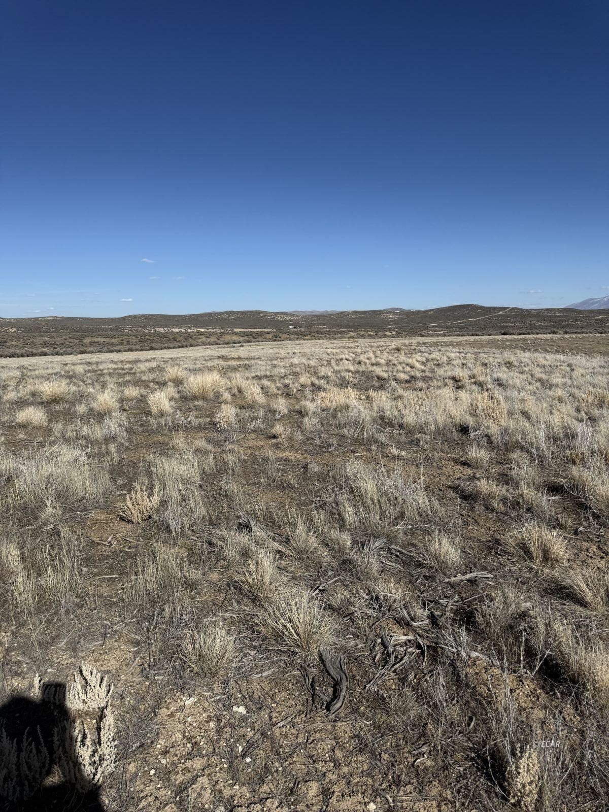 Kennedy Property Photo 11