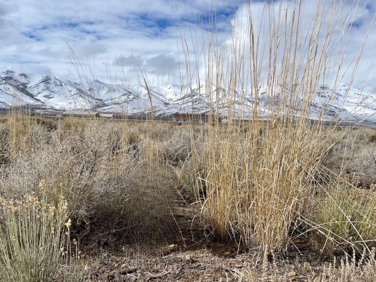 008-31d-003 Sec 4 Twp 34n Rge 62e Mdb&m Parcel Property Photo 4