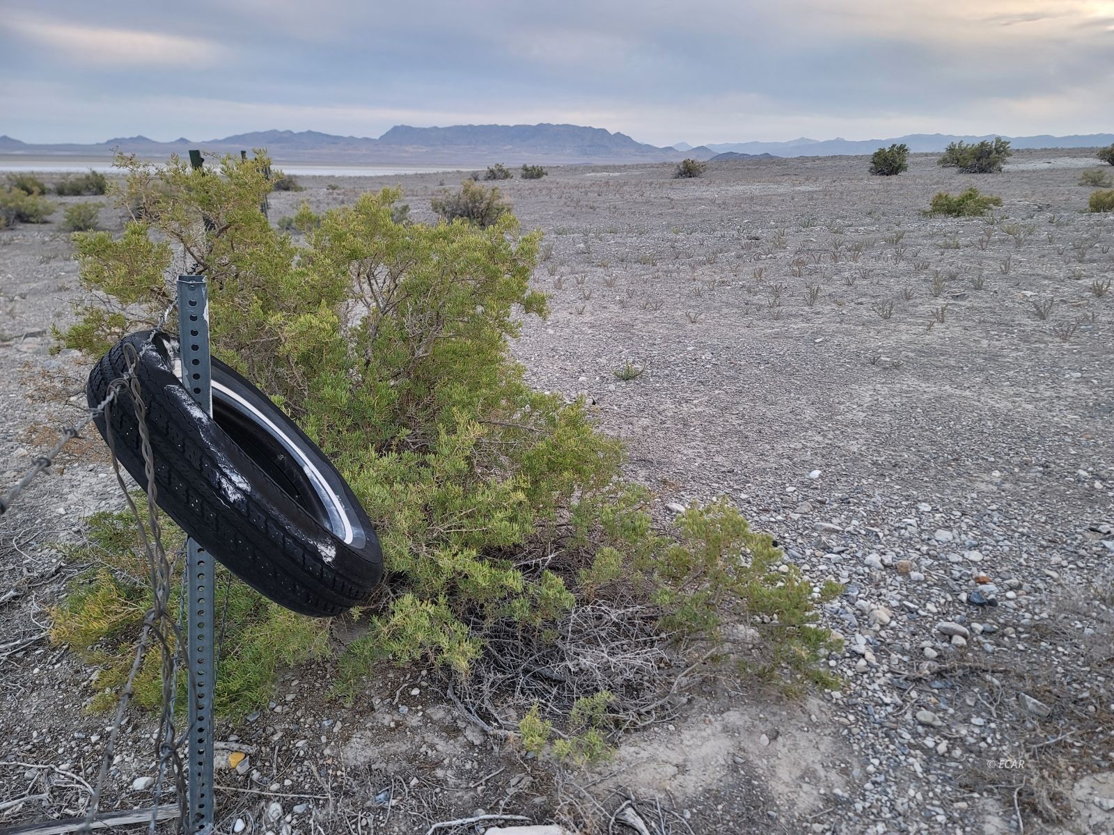 Sec 3 Twp 35n Rge 70e Mdb&m Nv Property Photo 4