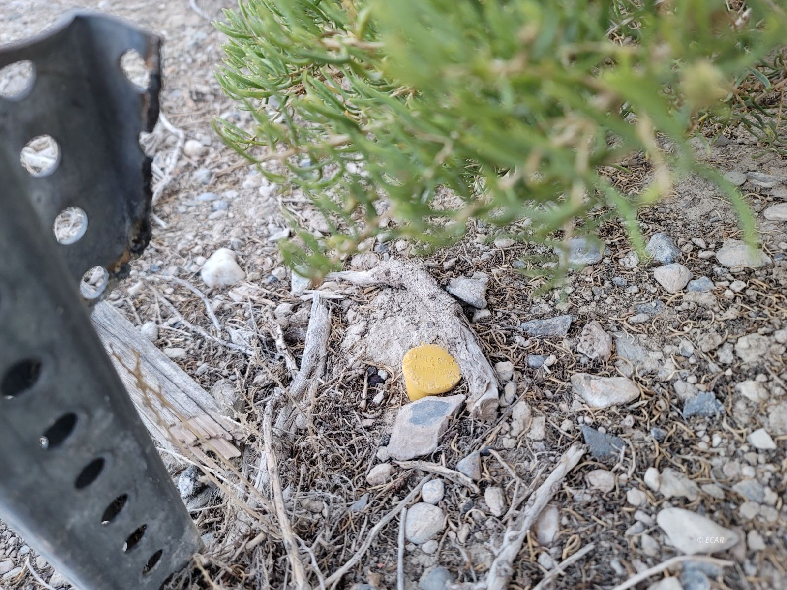 Sec 3 Twp 35n Rge 70e Mdb&m Nv Property Photo 5