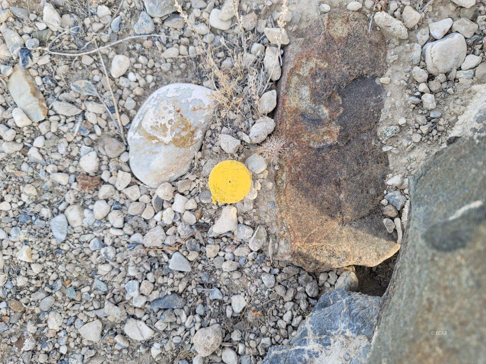 Sec 3 Twp 35n Rge 70e Mdb&m Property Photo 6