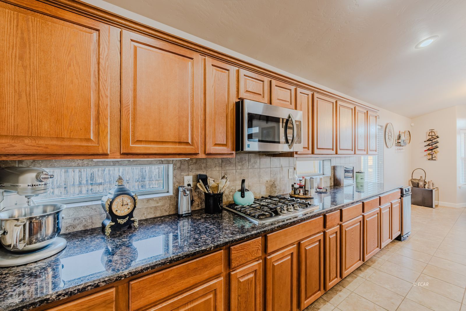 584 Thistle Drive Property Photo 19