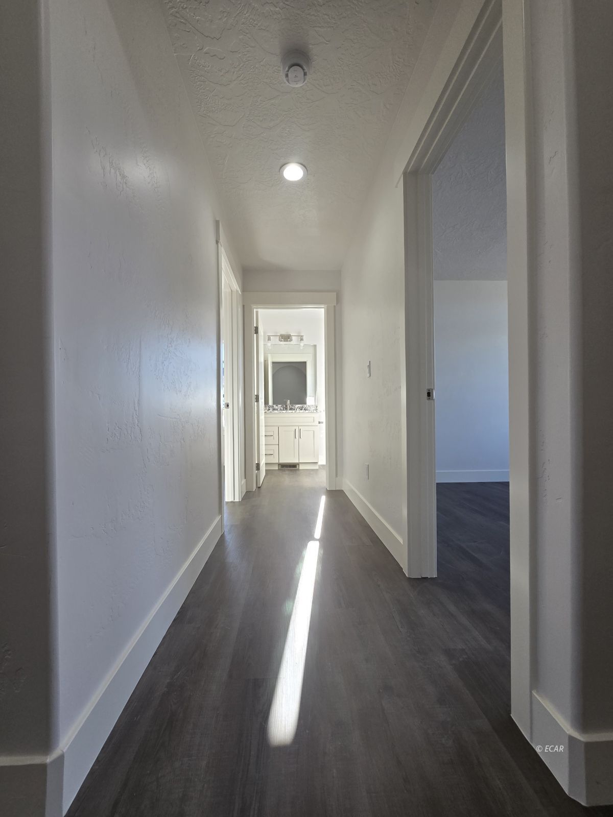 208 Spring Creek Parkway Property Photo 15