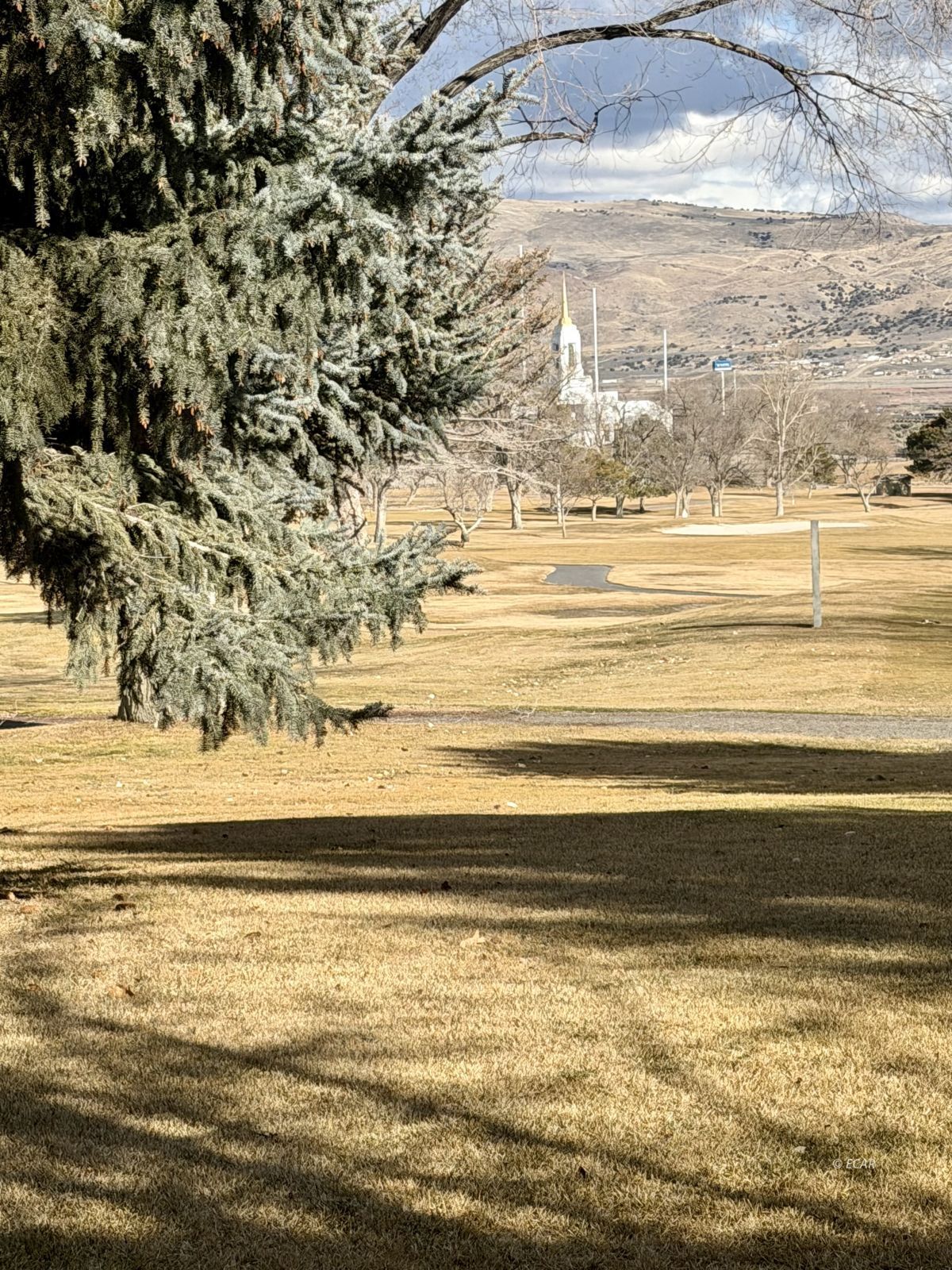 1800 Ruby View Drive 2 Property Photo 30