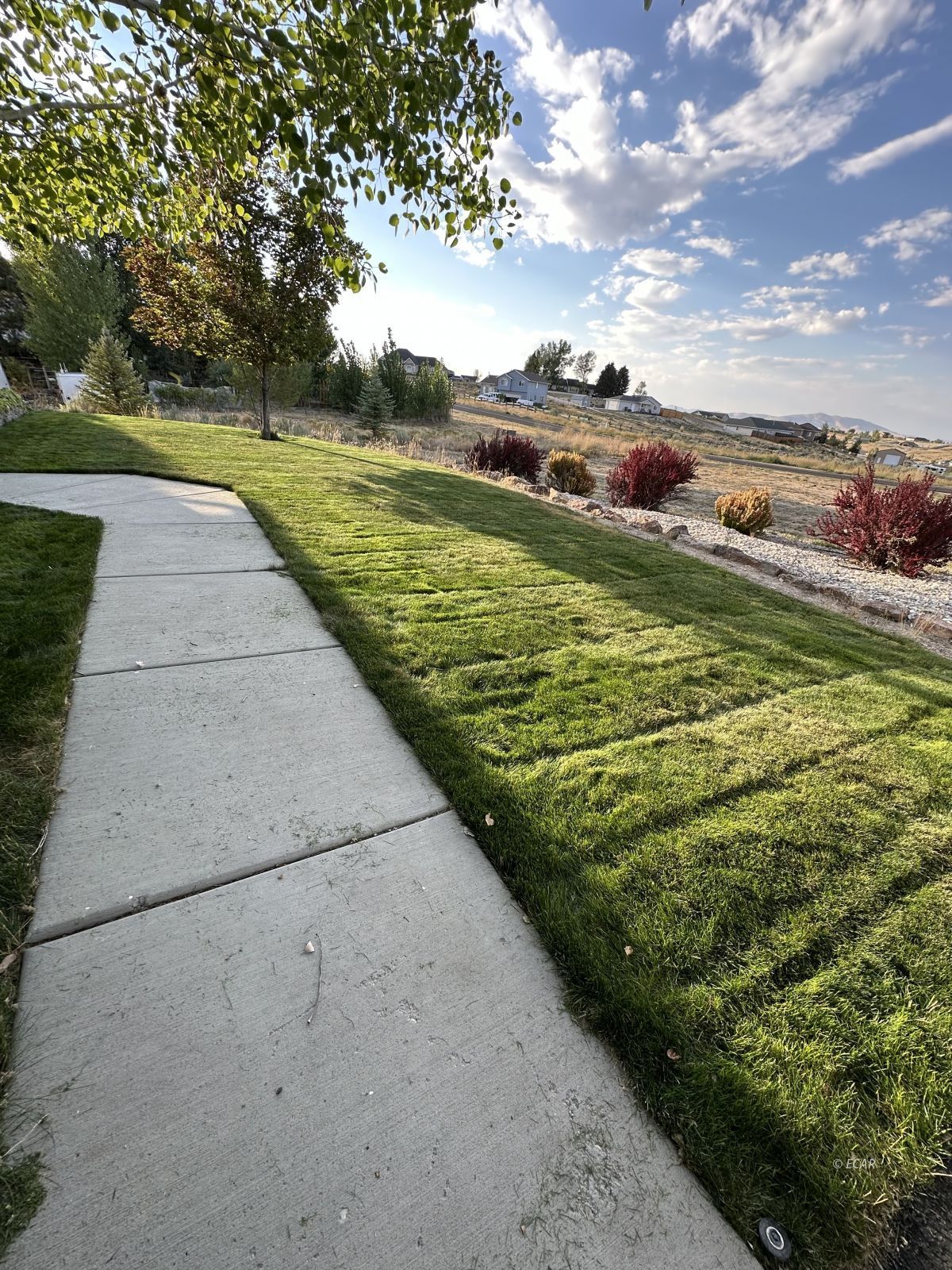 598 Palace Parkway Property Photo 50