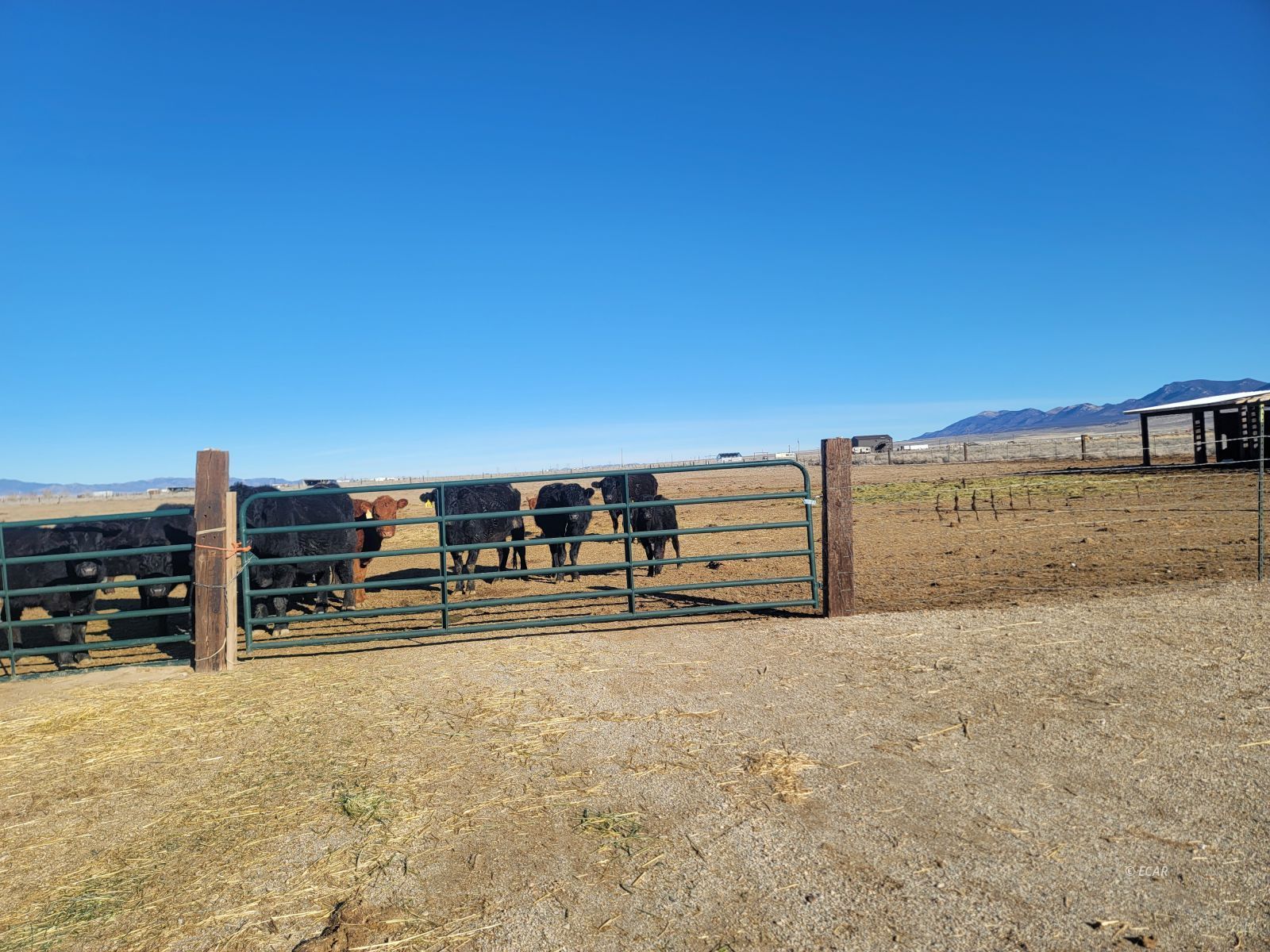 7th Street Property Photo 13