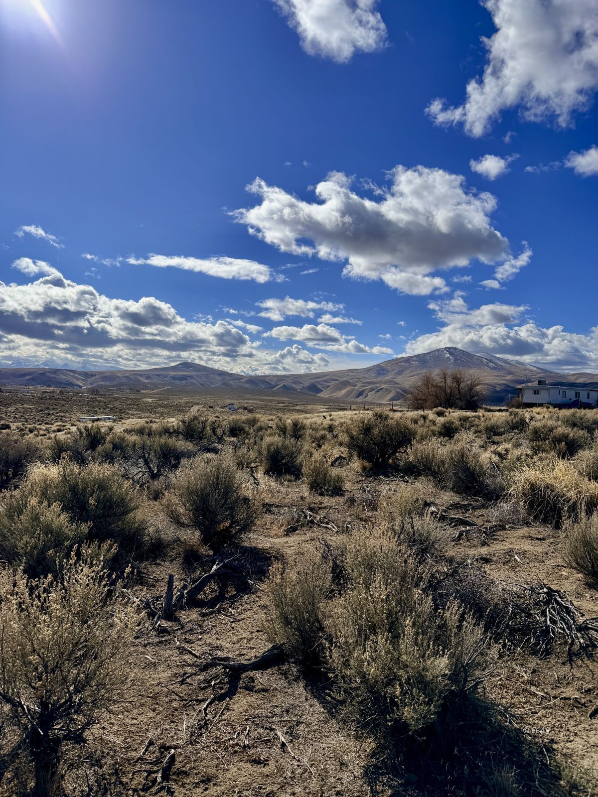 6 Tyler Avenue Property Photo 3