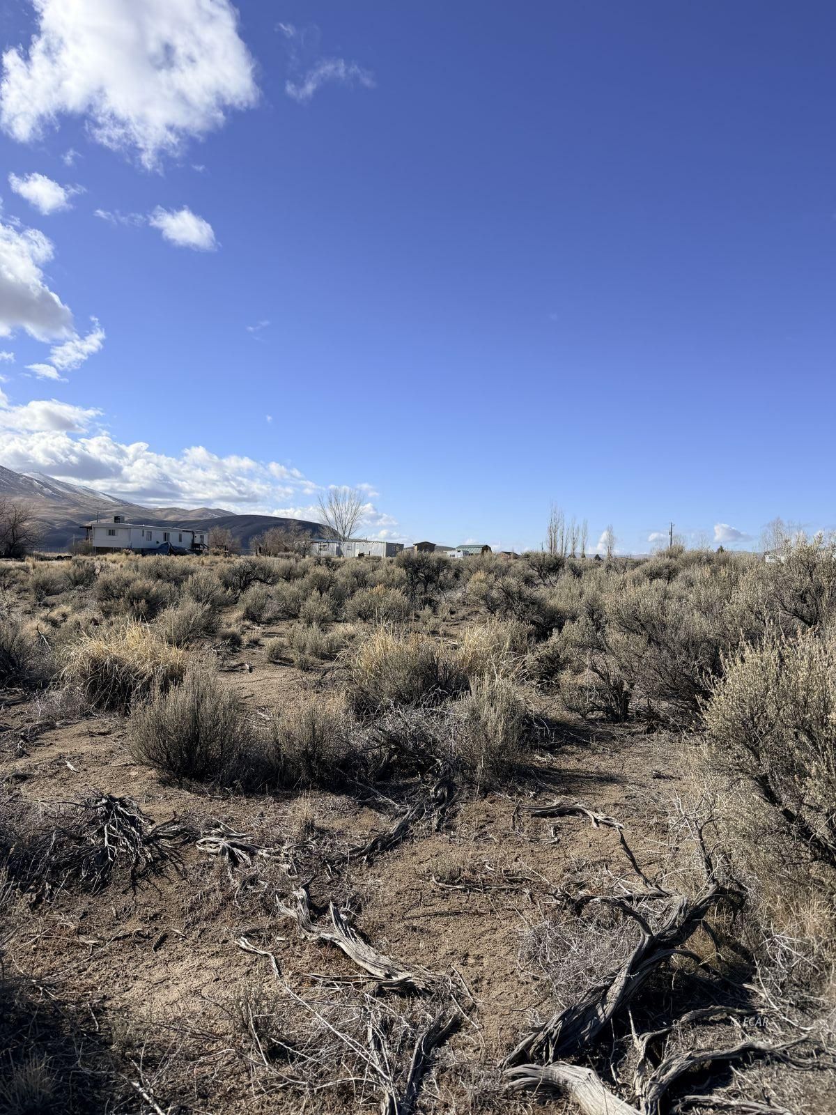 6 Tyler Avenue Property Photo 4