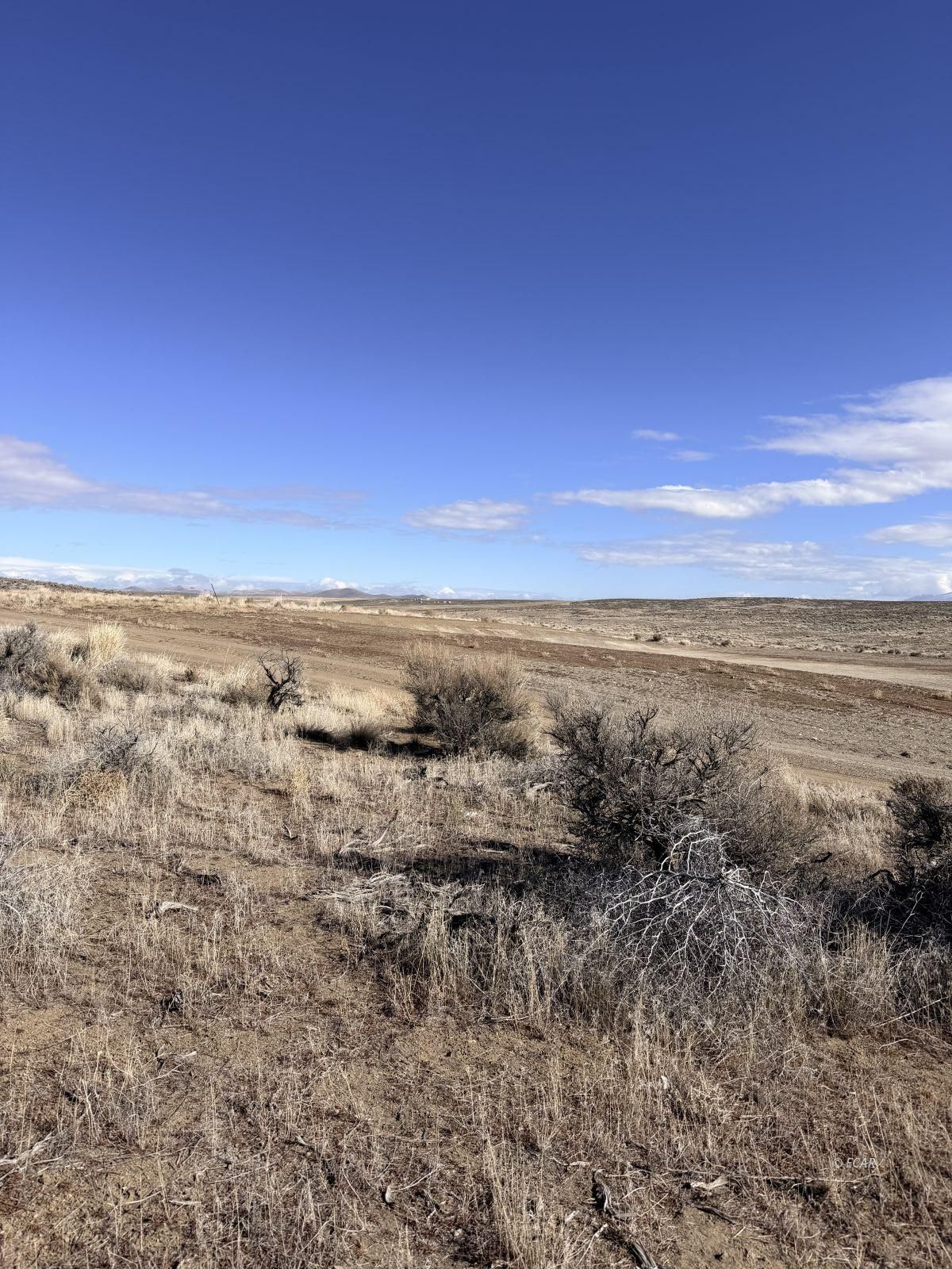 6 Tyler Avenue Property Photo 9