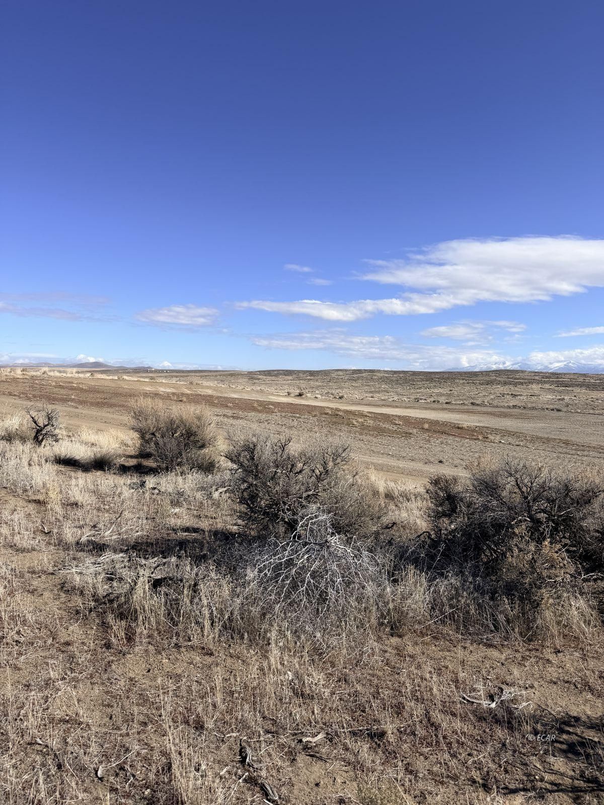 6 Tyler Avenue Property Photo 10