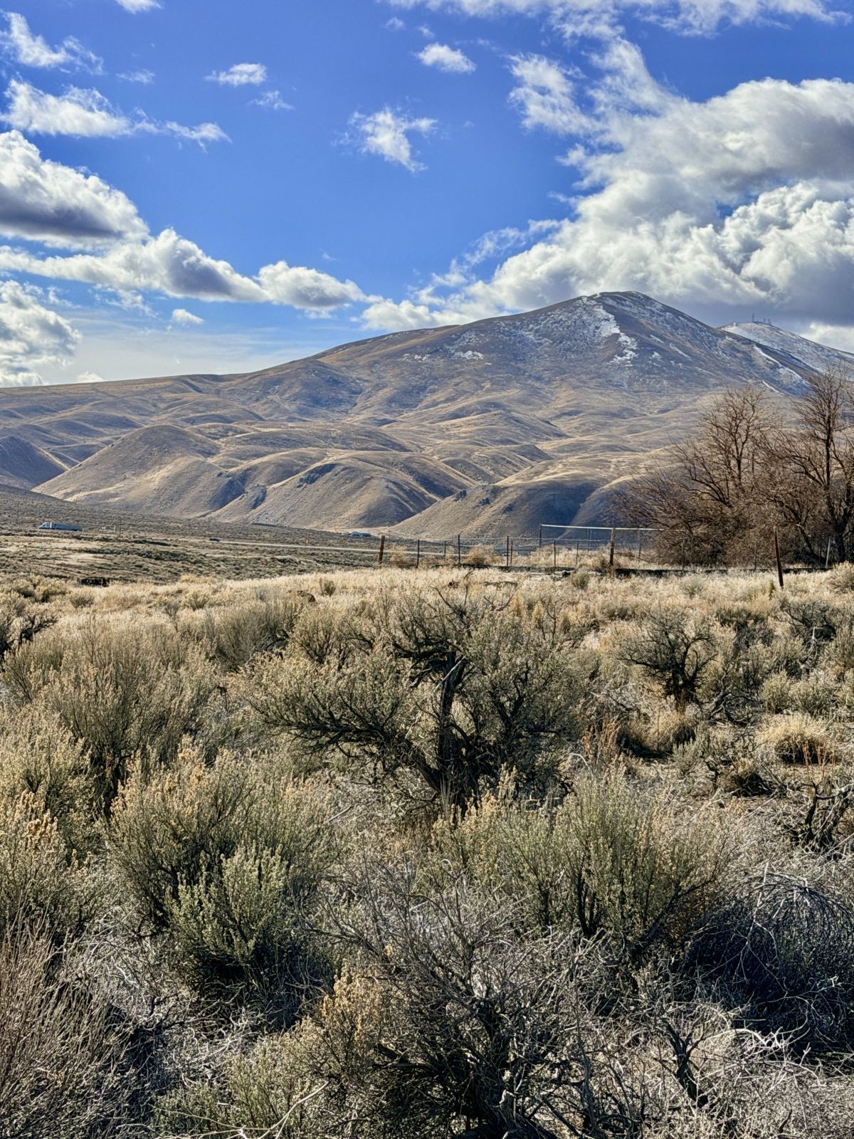 6 Tyler Avenue Property Photo 11