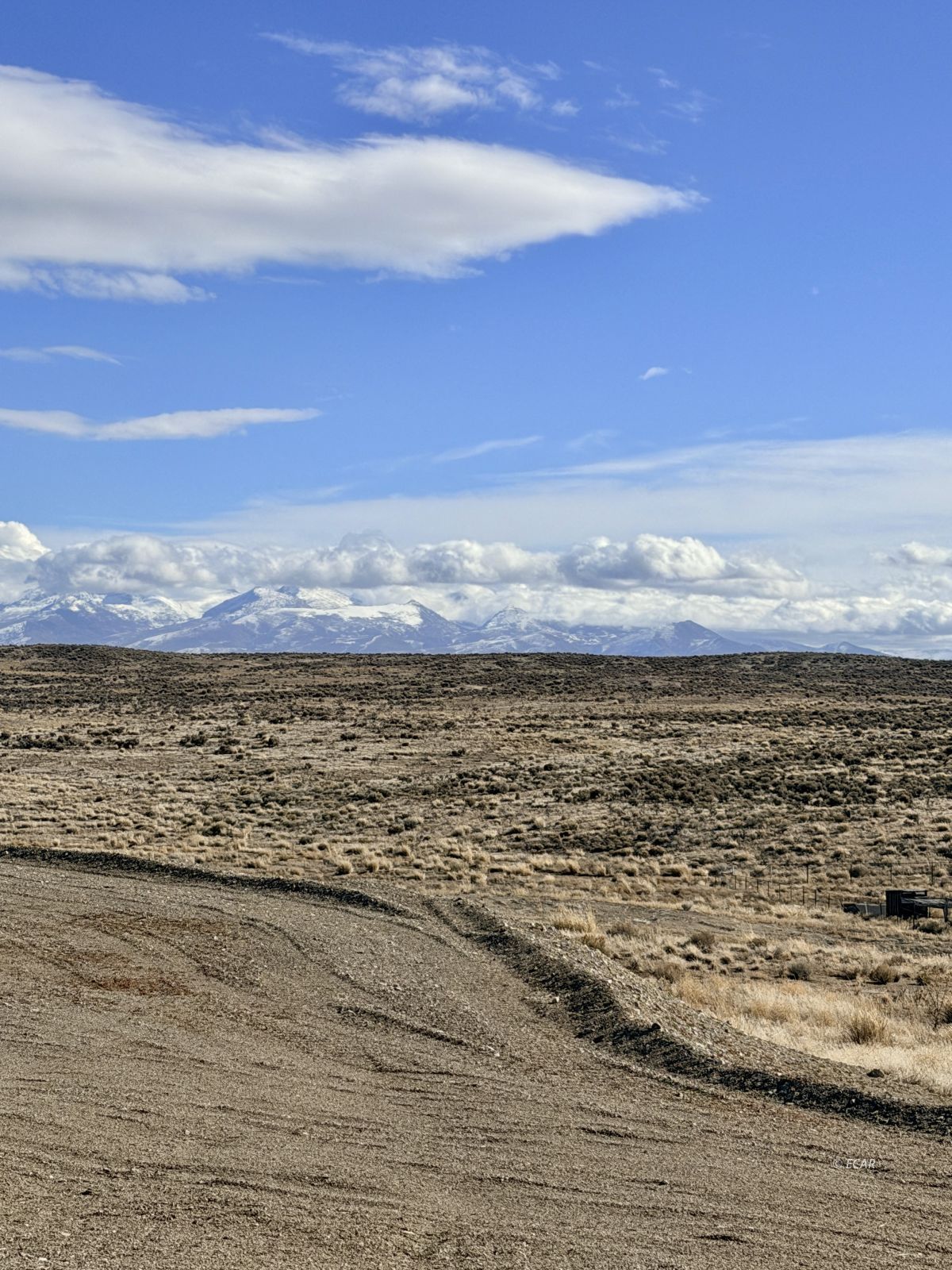 6 Tyler Avenue Property Photo 12