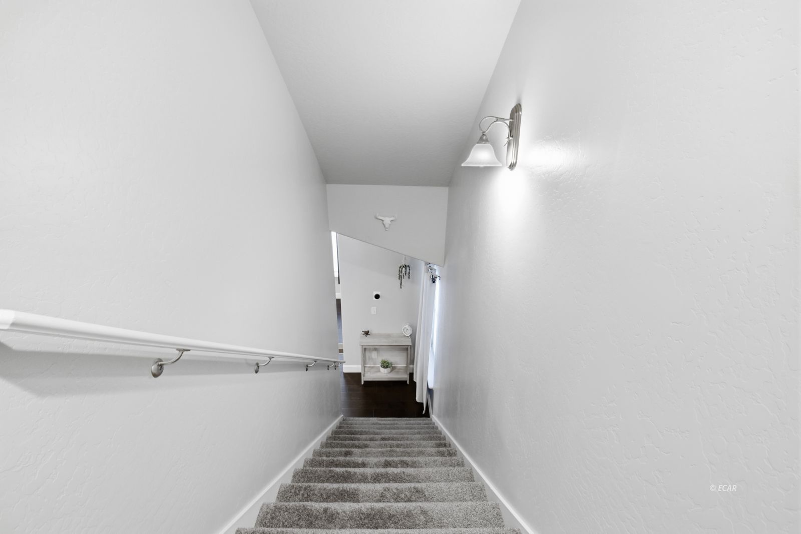 3688 Snowy River Property Photo 23