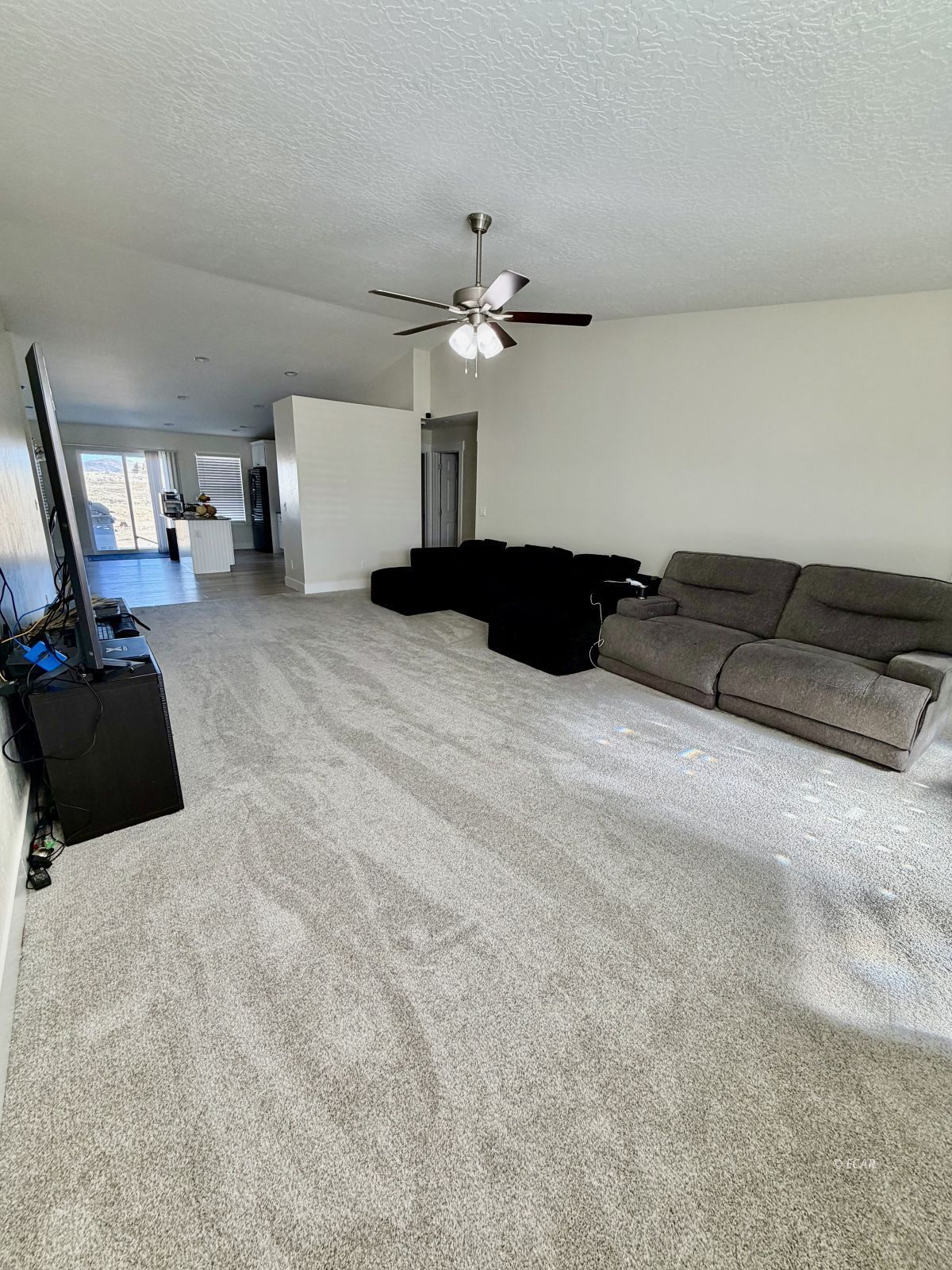 215 Spring Creek Parkway Property Photo 4
