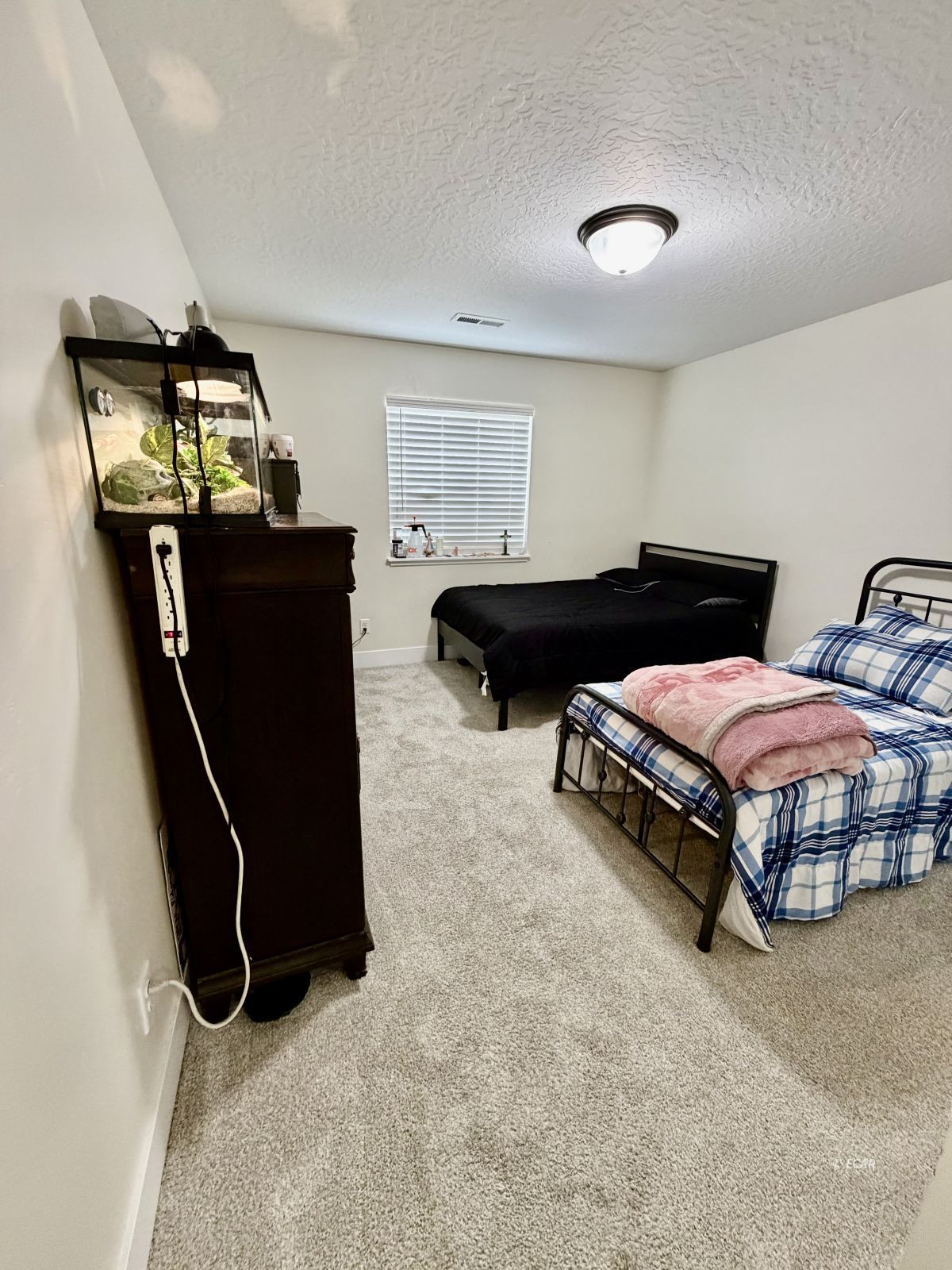 215 Spring Creek Parkway Property Photo 13