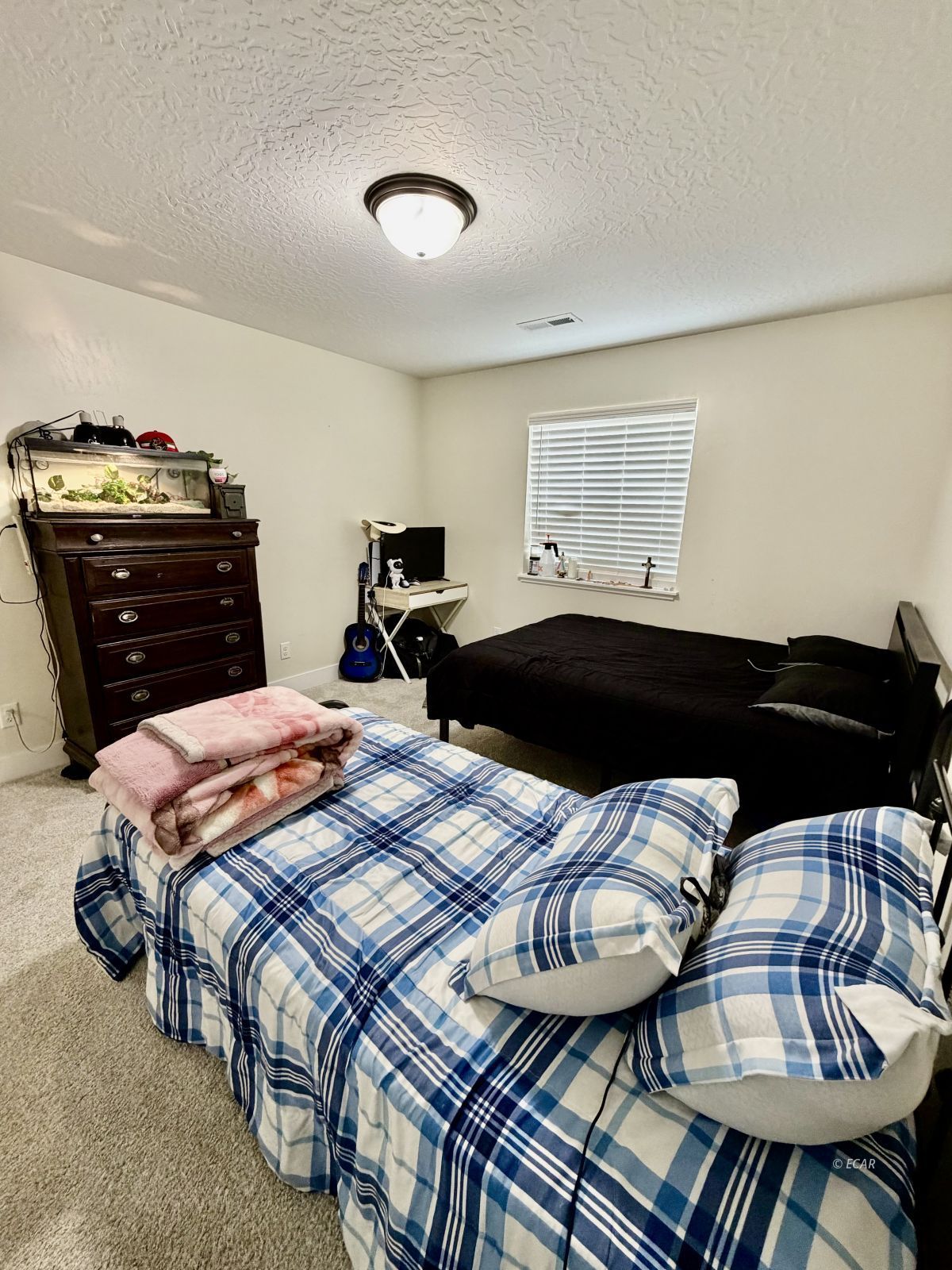 215 Spring Creek Parkway Property Photo 14