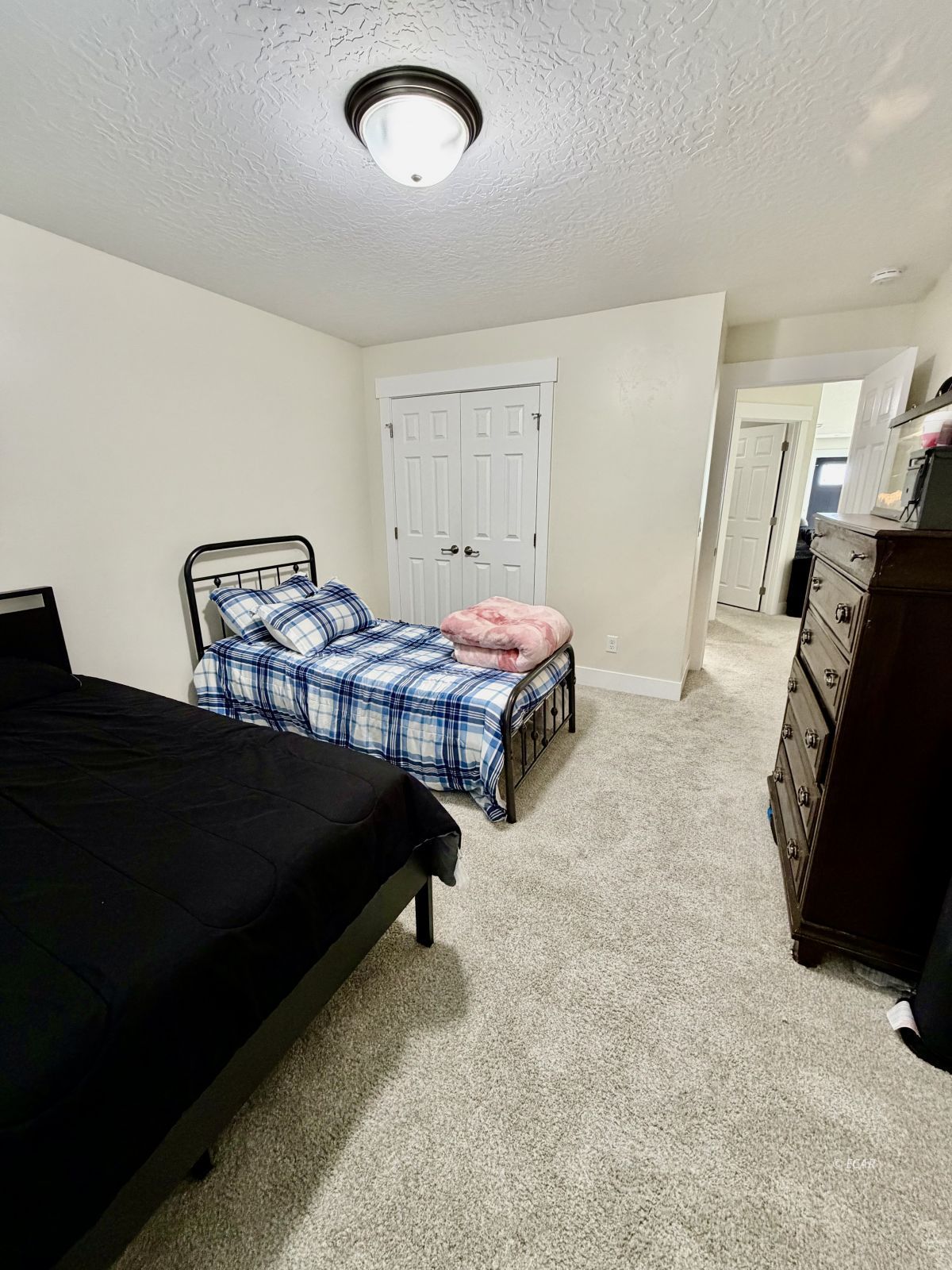 215 Spring Creek Parkway Property Photo 15