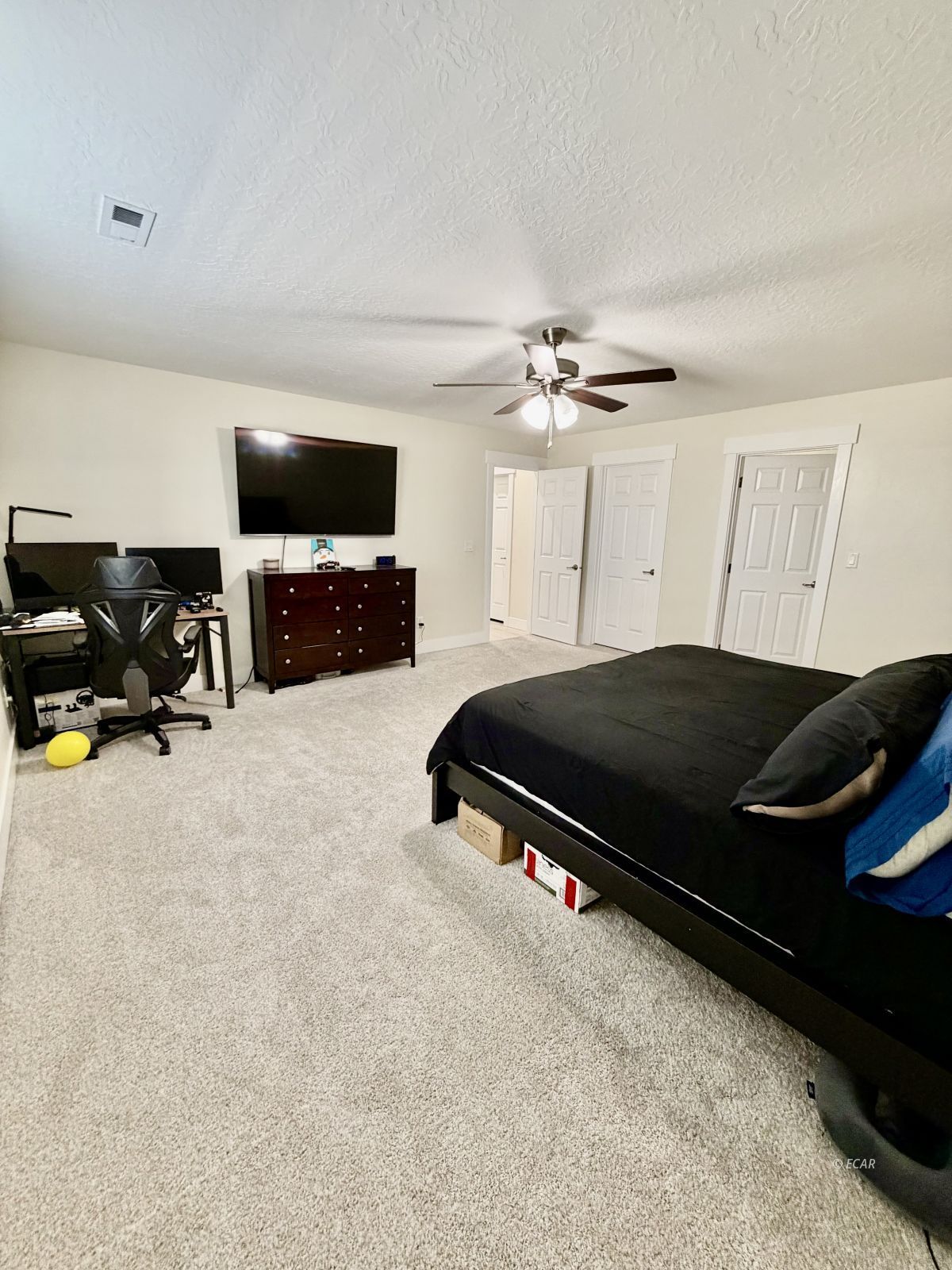 215 Spring Creek Parkway Property Photo 22
