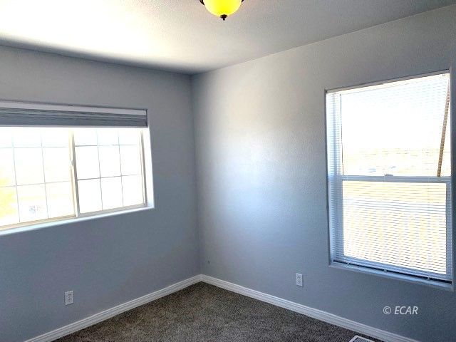 217 Blakeland Drive Property Photo 13