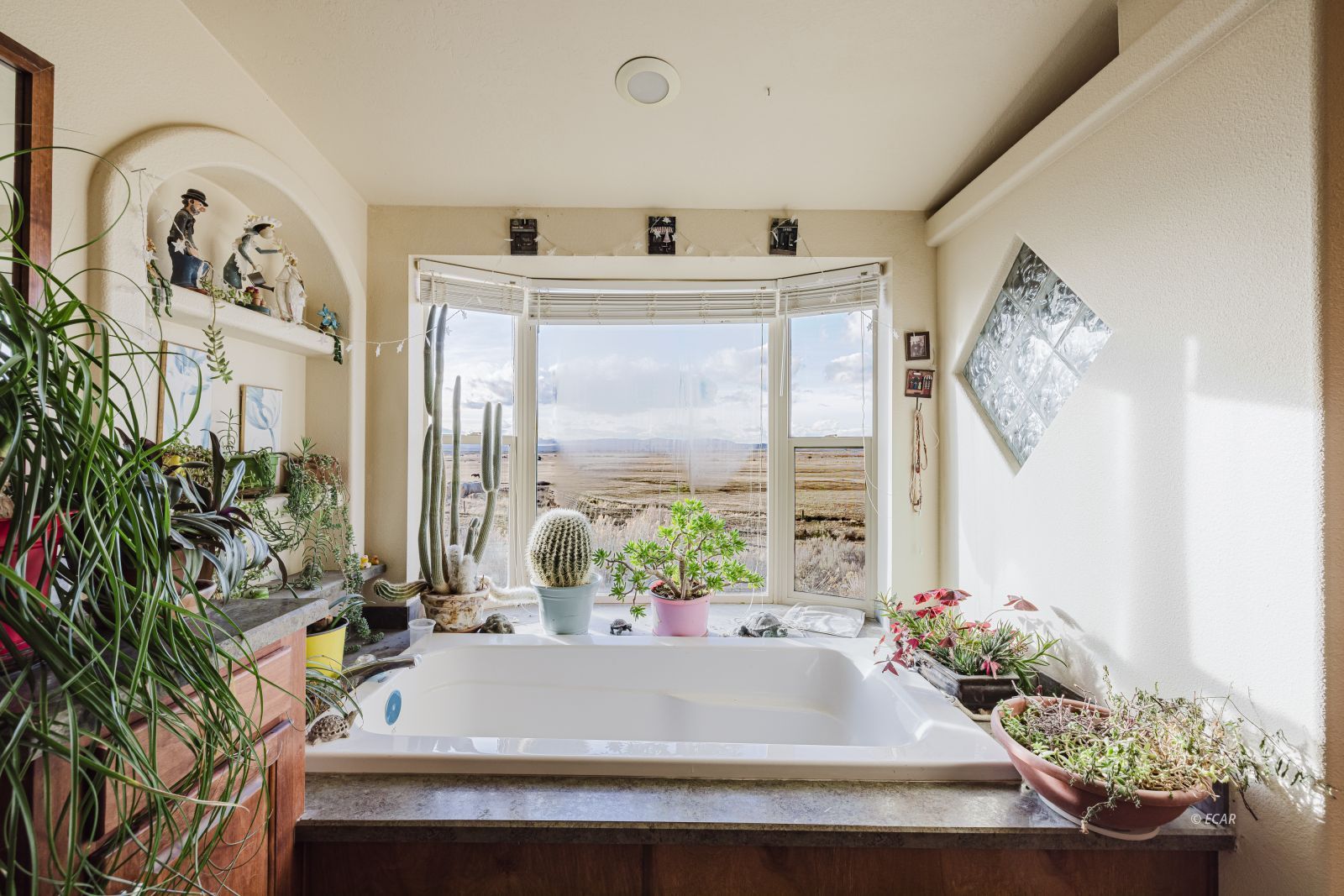1171 Upper Starr Valley Road Property Photo 26